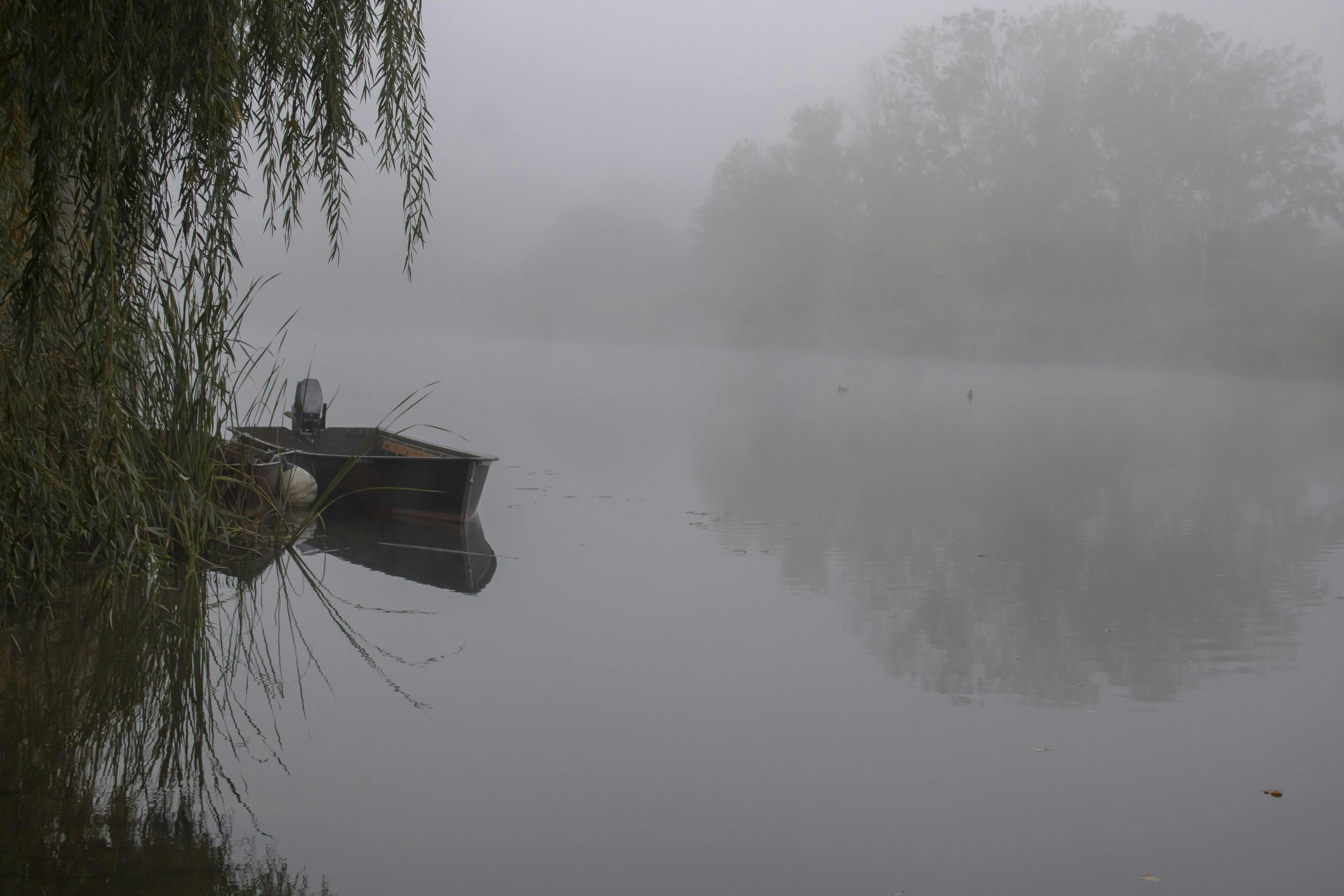 Photo by albertdavid6