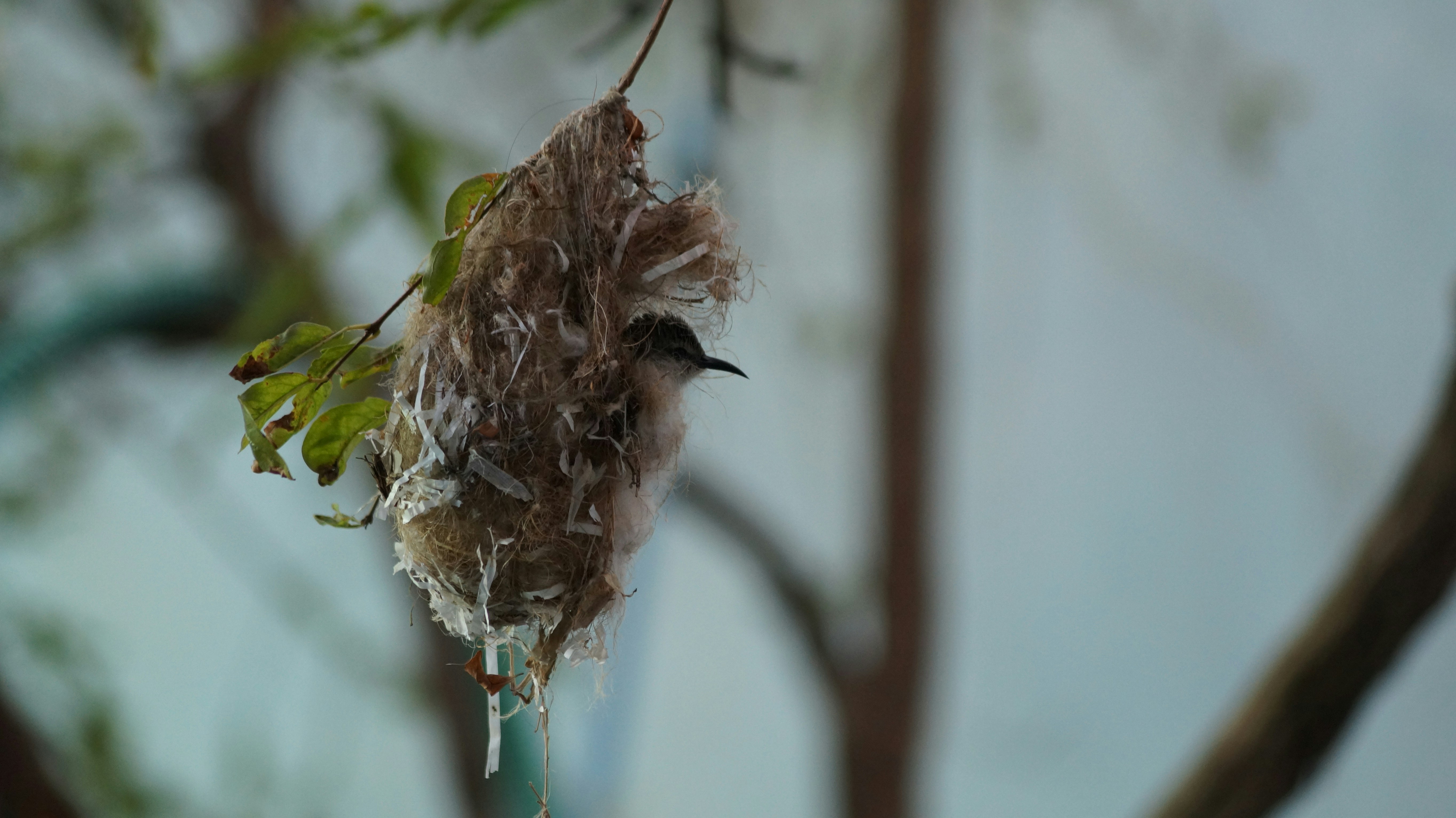 Photo by smartdicson