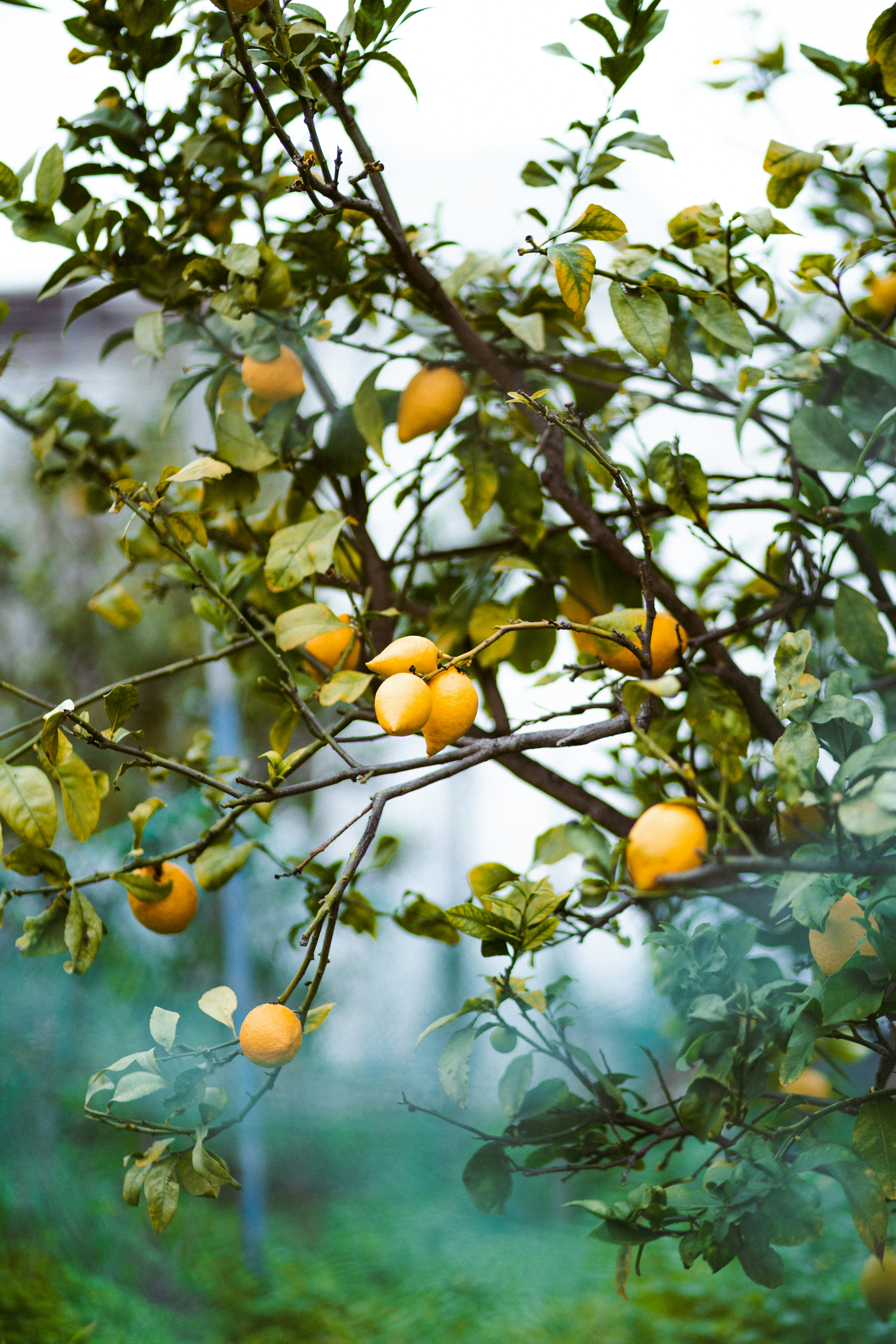 Photo by brunovdkraan