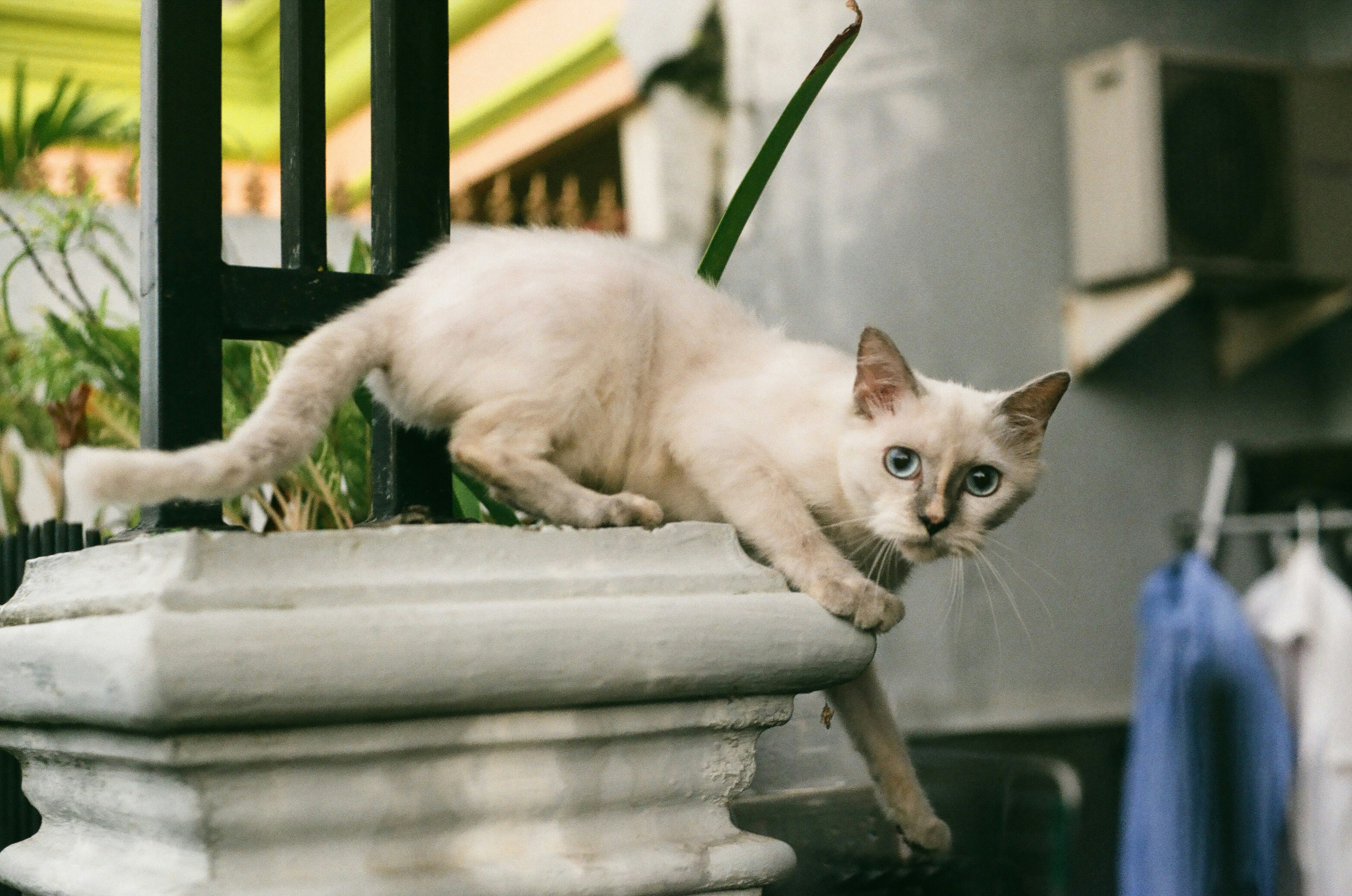 Photo by rzkyjuliandra