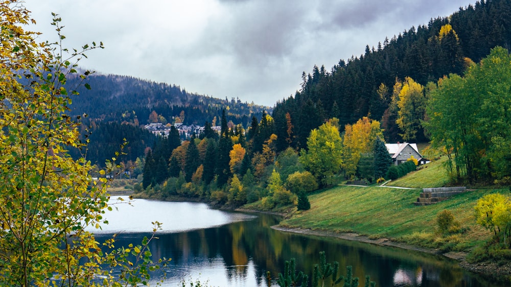 Ein See, umgeben von Bäumen und Bergen