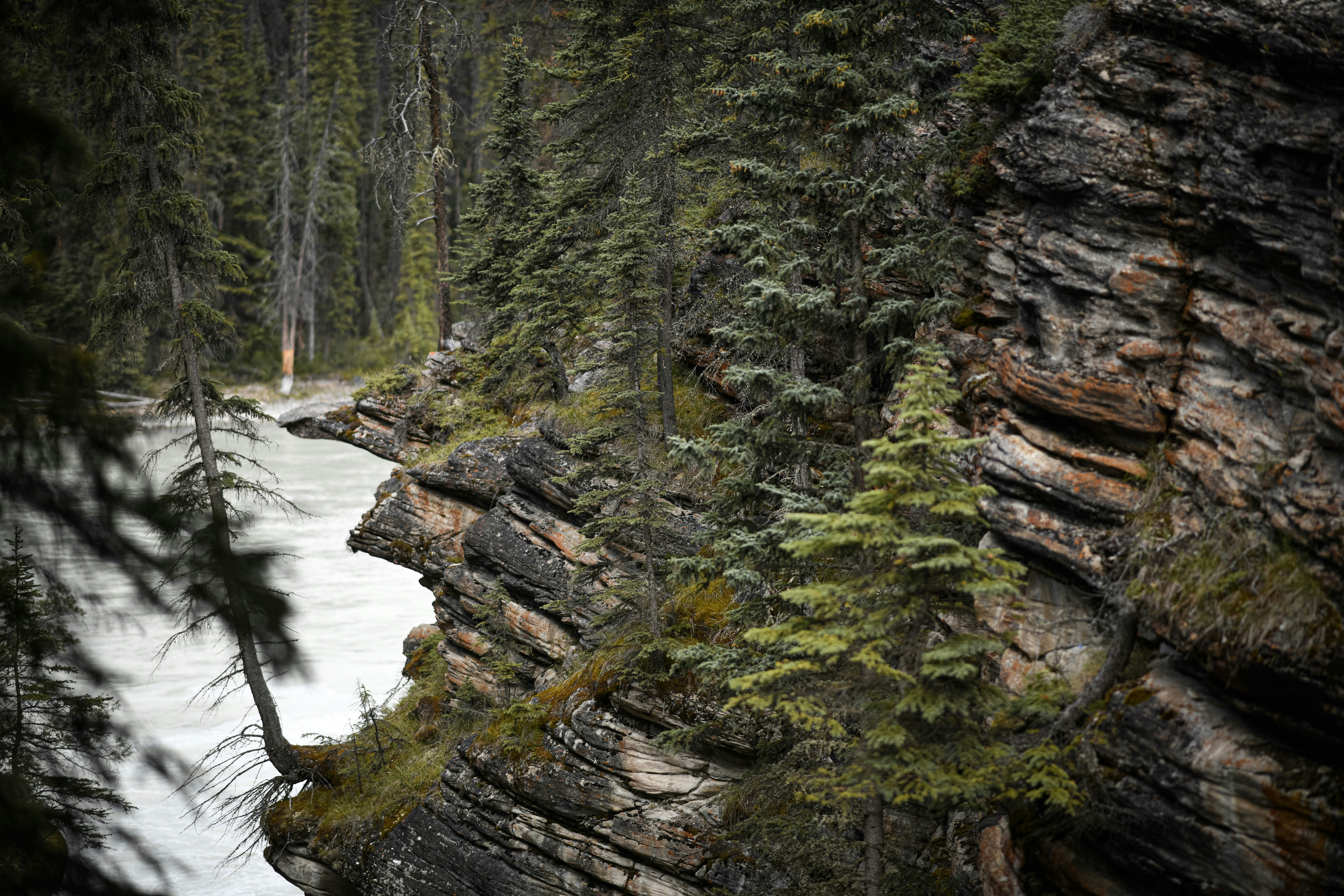 Photo by elliottmason