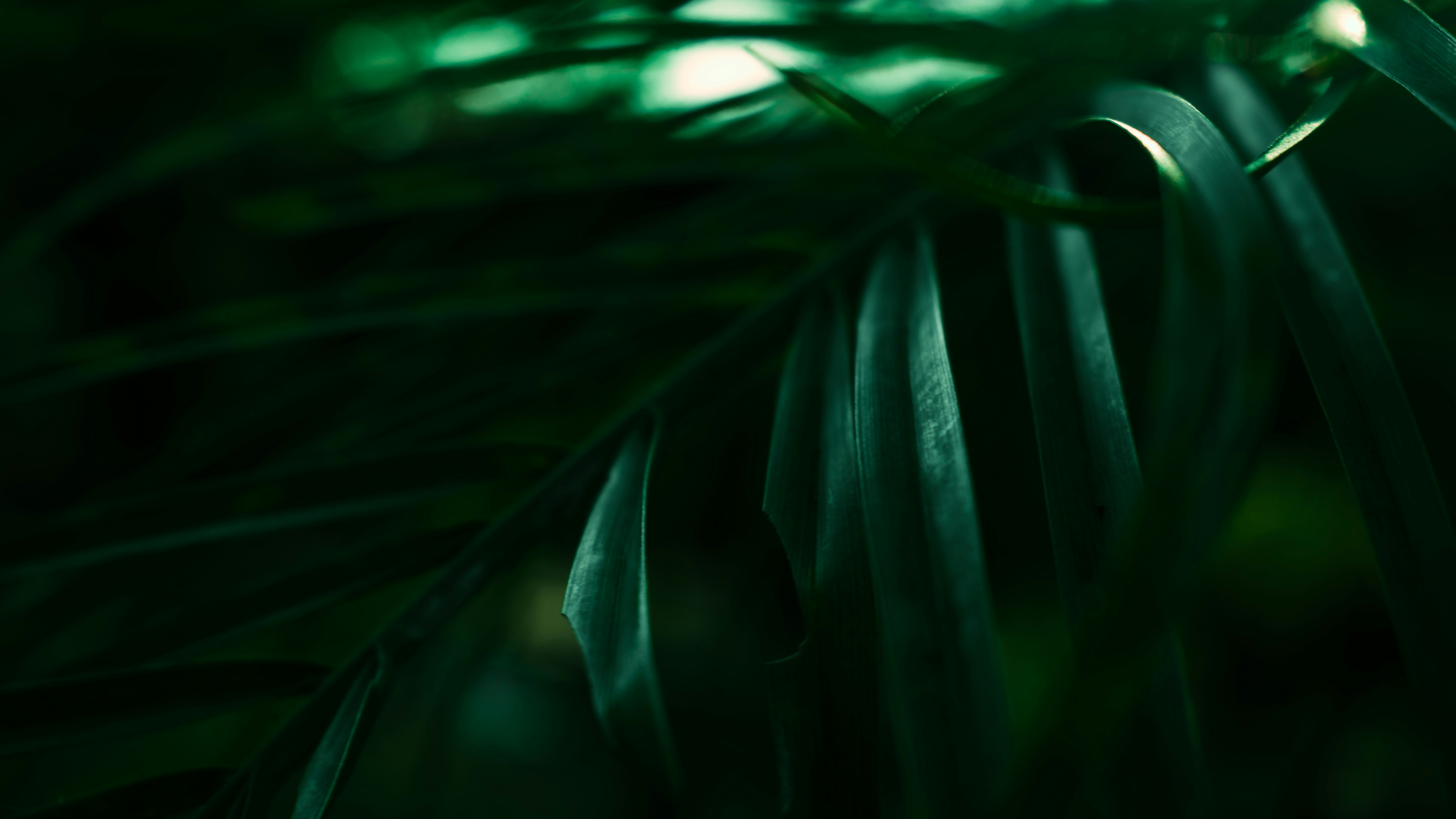 Photo by baraikshivam22