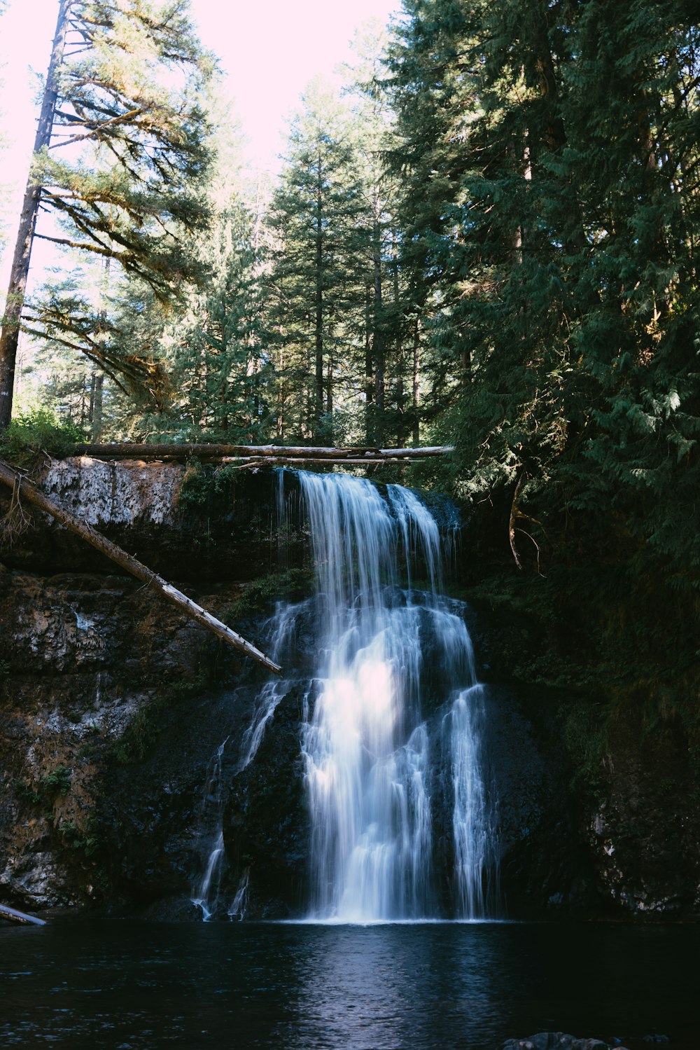 a waterfall in a forest