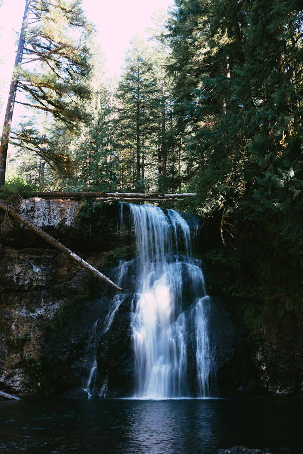 Une cascade dans une forêt