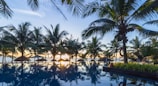 A scenic view of a tropical paradise featuring a series of palm trees surrounding an infinity pool. The horizon shows a beautiful sunset over a calm ocean. There are thatched umbrellas and lounge chairs, creating a relaxing atmosphere.