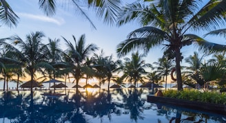 A scenic view of a tropical paradise featuring a series of palm trees surrounding an infinity pool. The horizon shows a beautiful sunset over a calm ocean. There are thatched umbrellas and lounge chairs, creating a relaxing atmosphere.