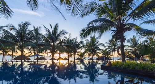 A scenic view of a tropical paradise featuring a series of palm trees surrounding an infinity pool. The horizon shows a beautiful sunset over a calm ocean. There are thatched umbrellas and lounge chairs, creating a relaxing atmosphere.