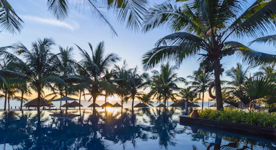Sunset view over the resort’s infinity pool framed by swaying palm trees.
