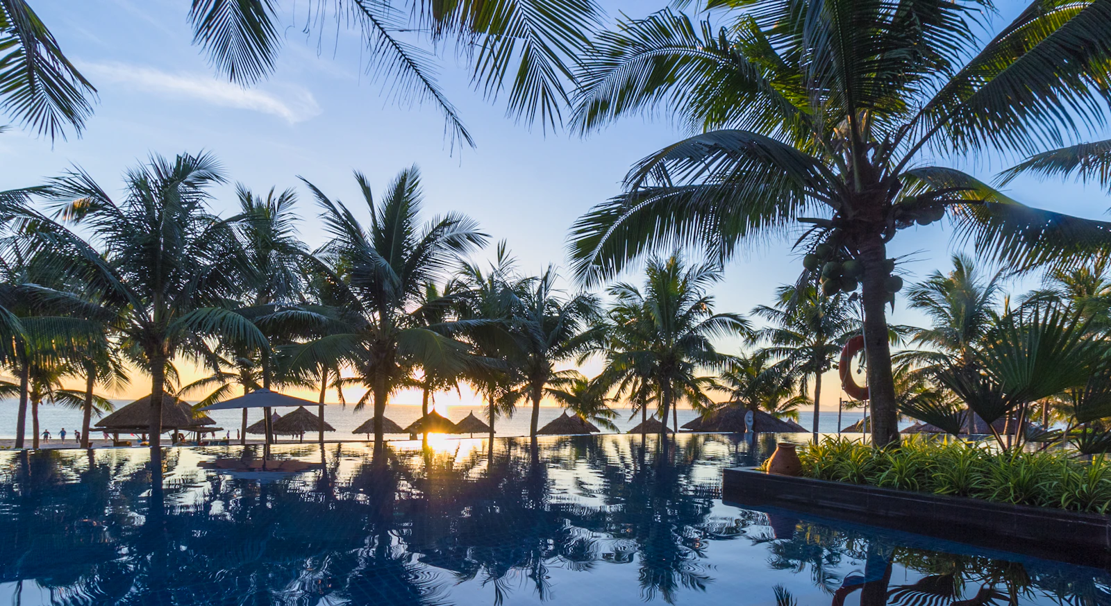 Tropical beach with palm trees