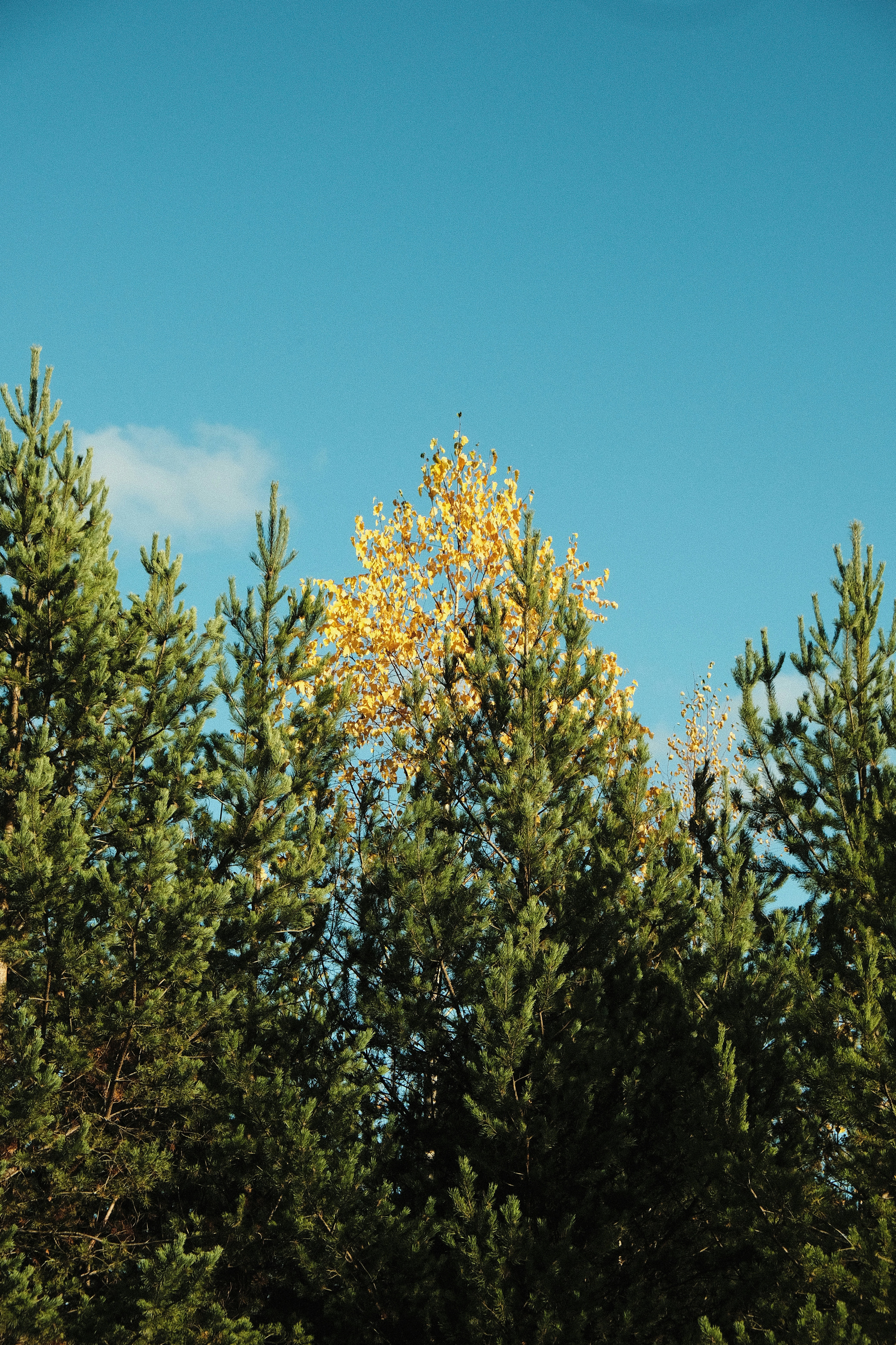 Photo by kazusaki_sagar