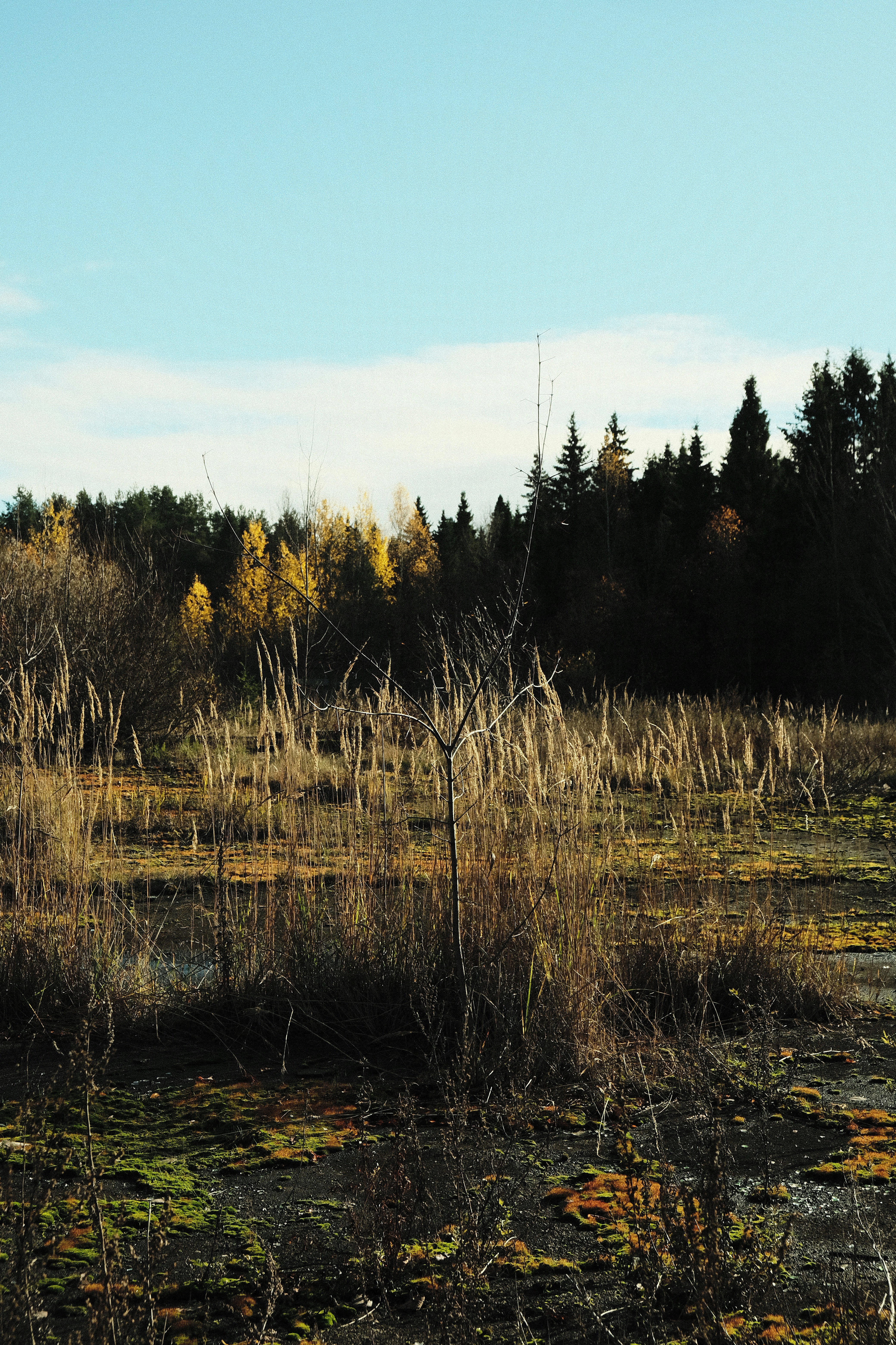 Photo by kazusaki_sagar