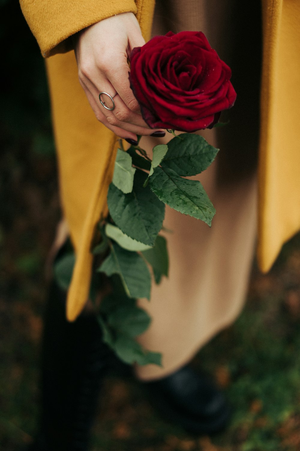 a person holding a rose