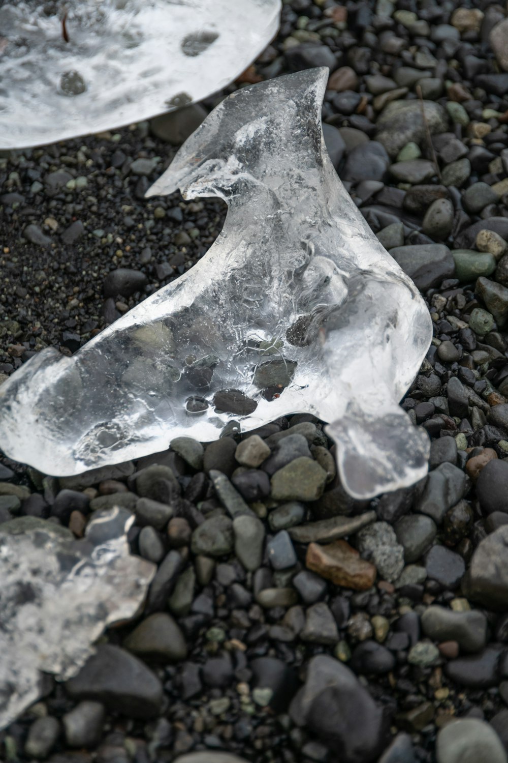 a close-up of a rock