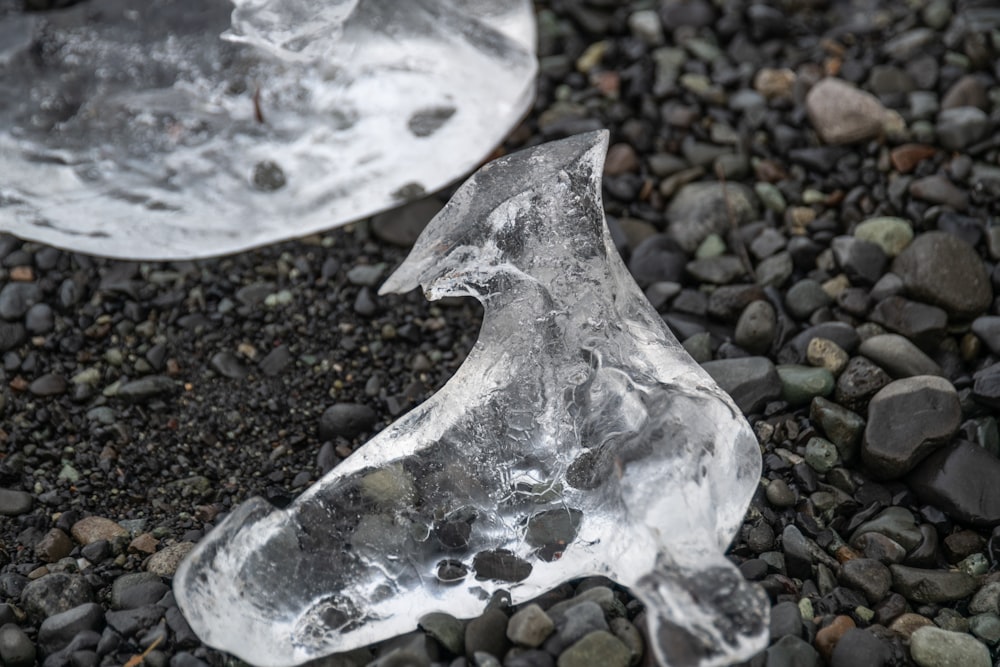 a close-up of a rock