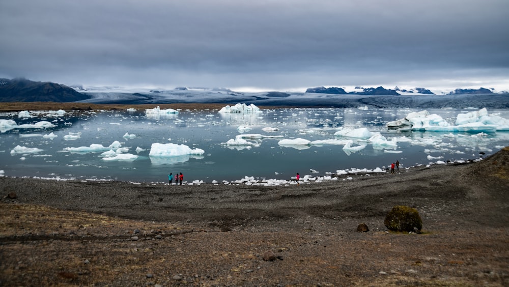 um grupo de pessoas em pé em uma praia rochosa com icebergs na água