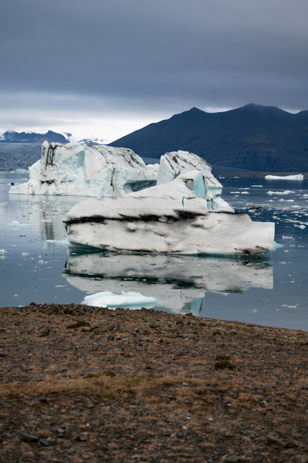 icebergs in the water