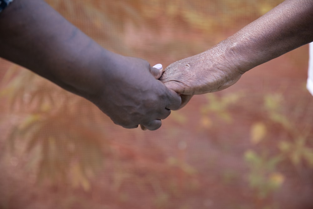 a close-up of hands holding a small white ball