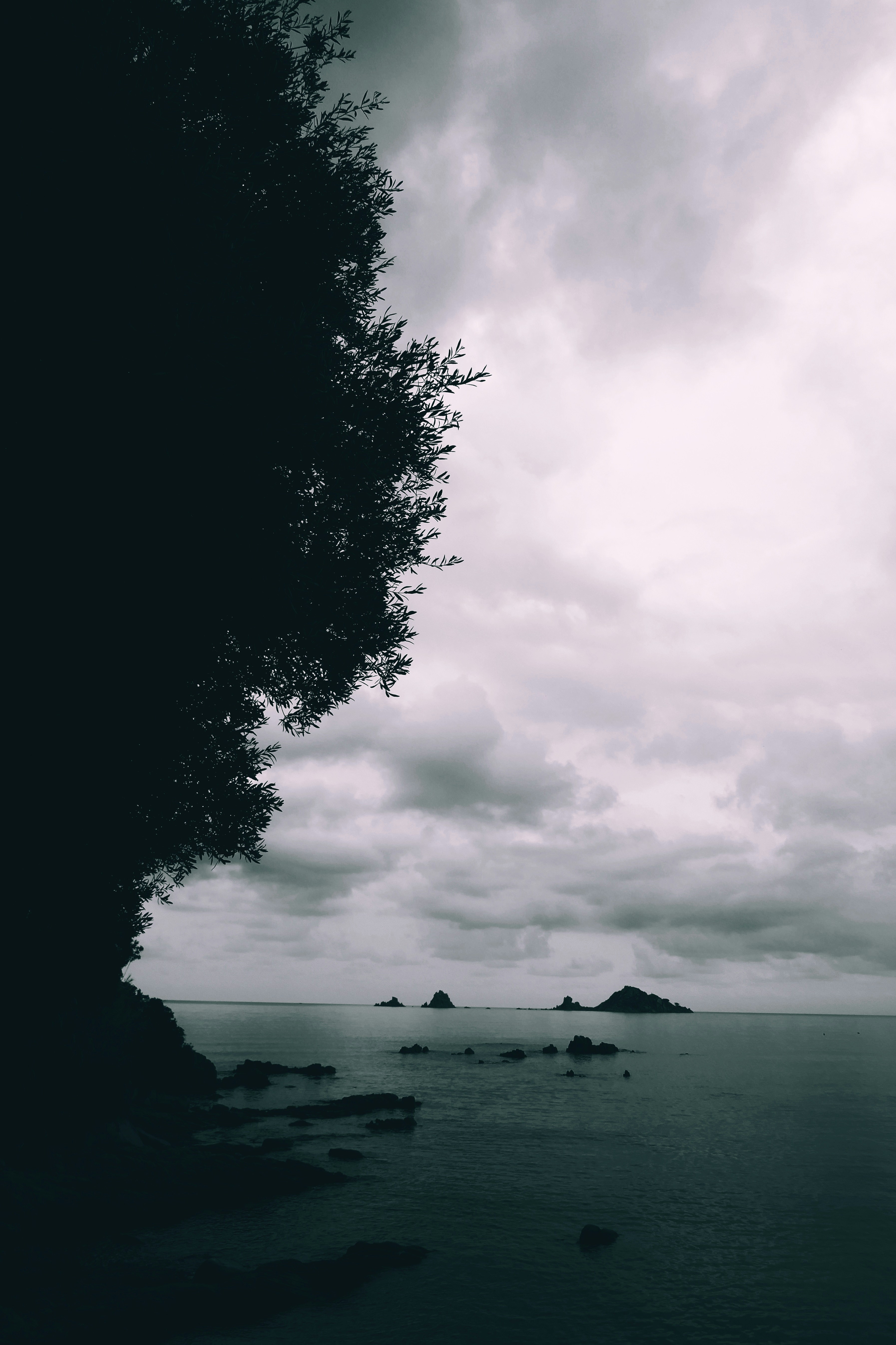 Photo by umanoide