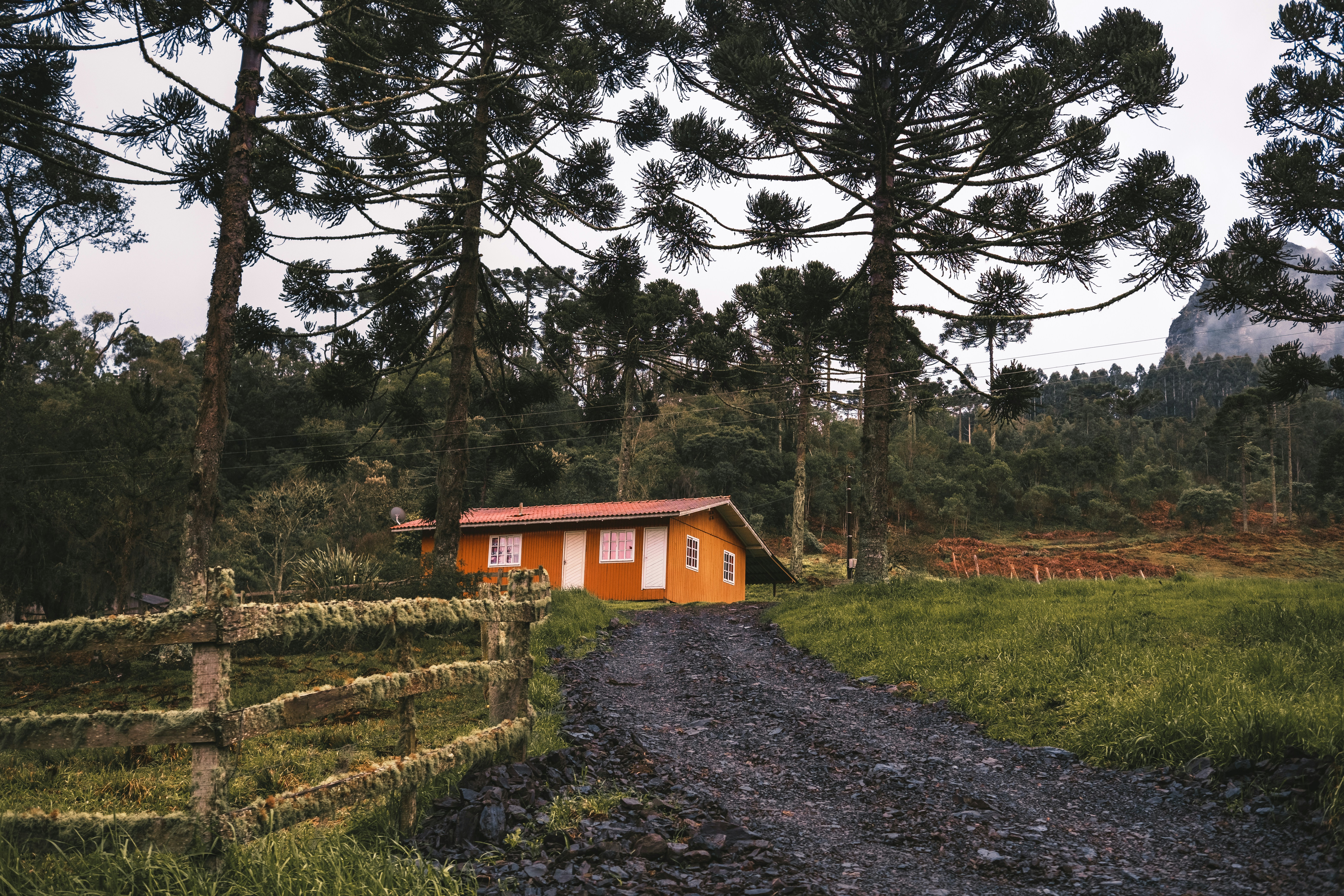 Photo by vanya_nichego