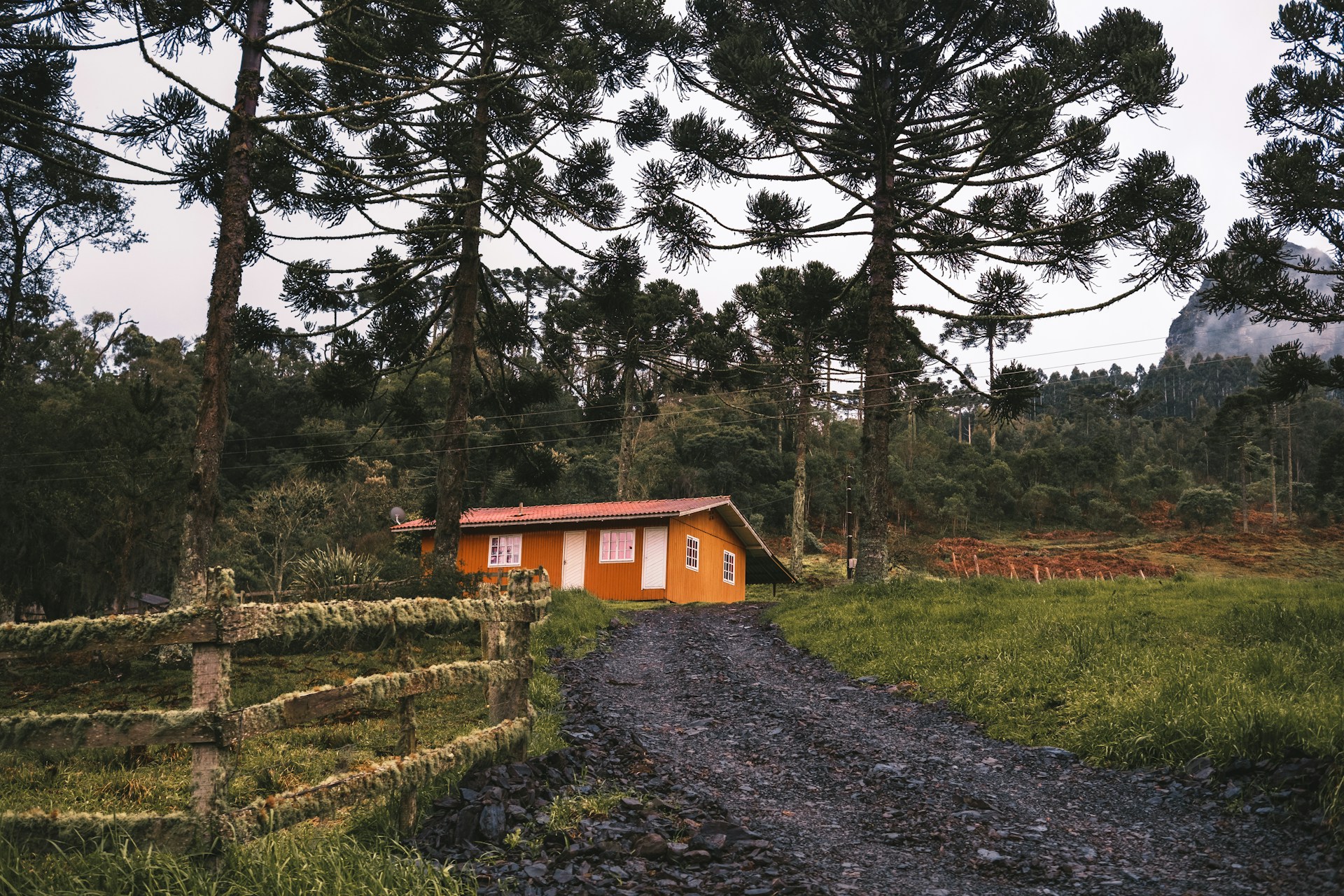 a small building in a wooded area