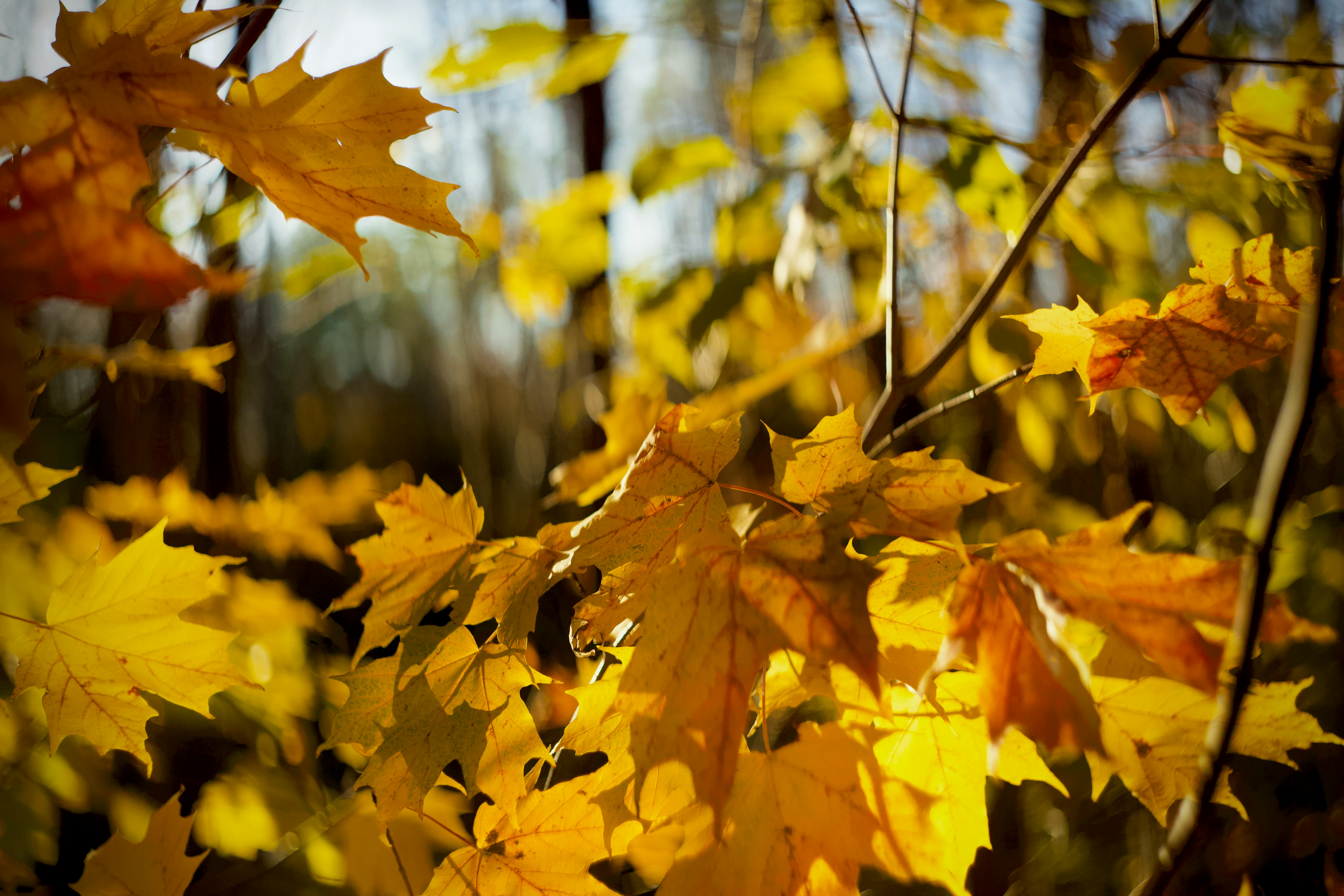 Photo by jpunsplash99