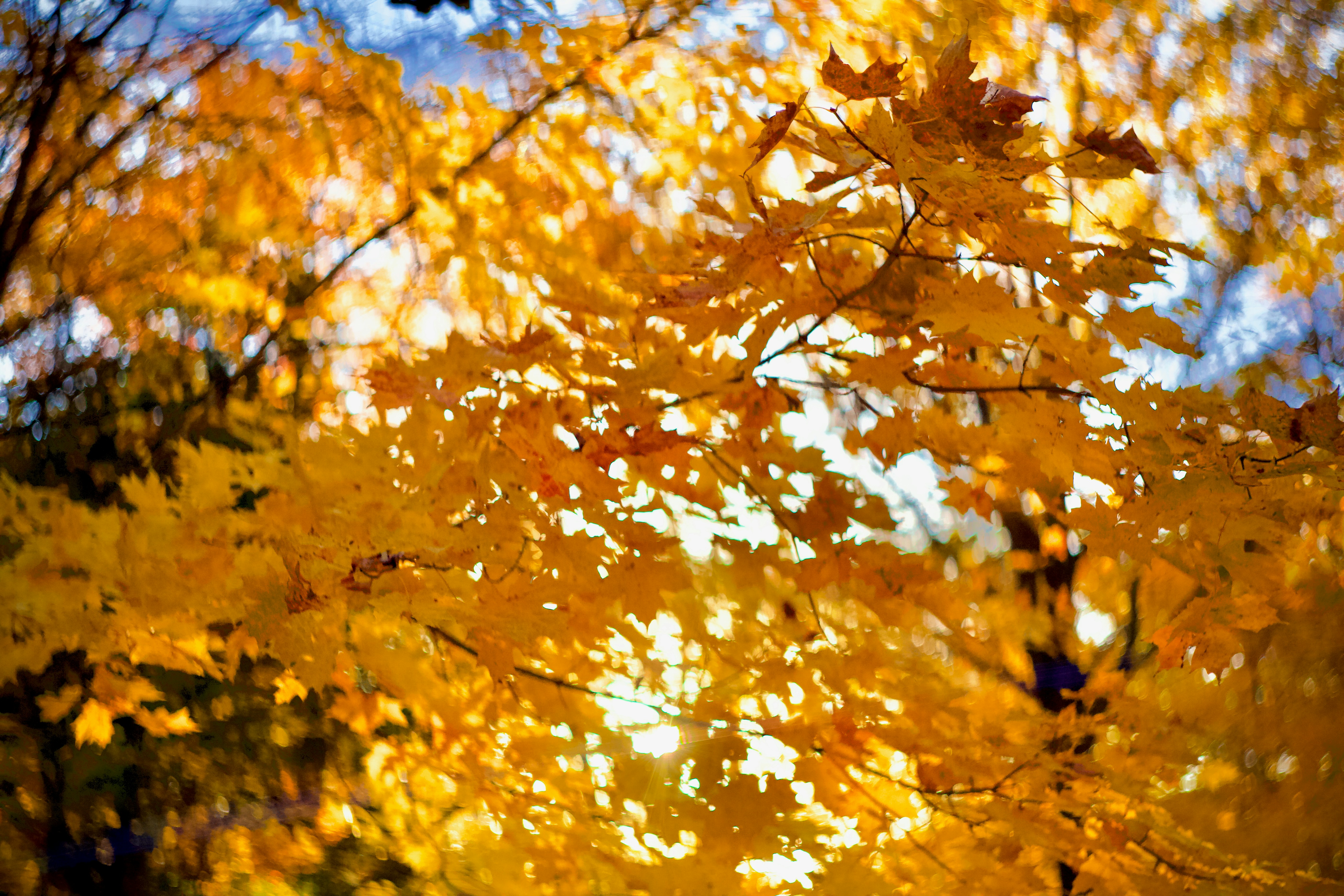 Photo by jpunsplash99