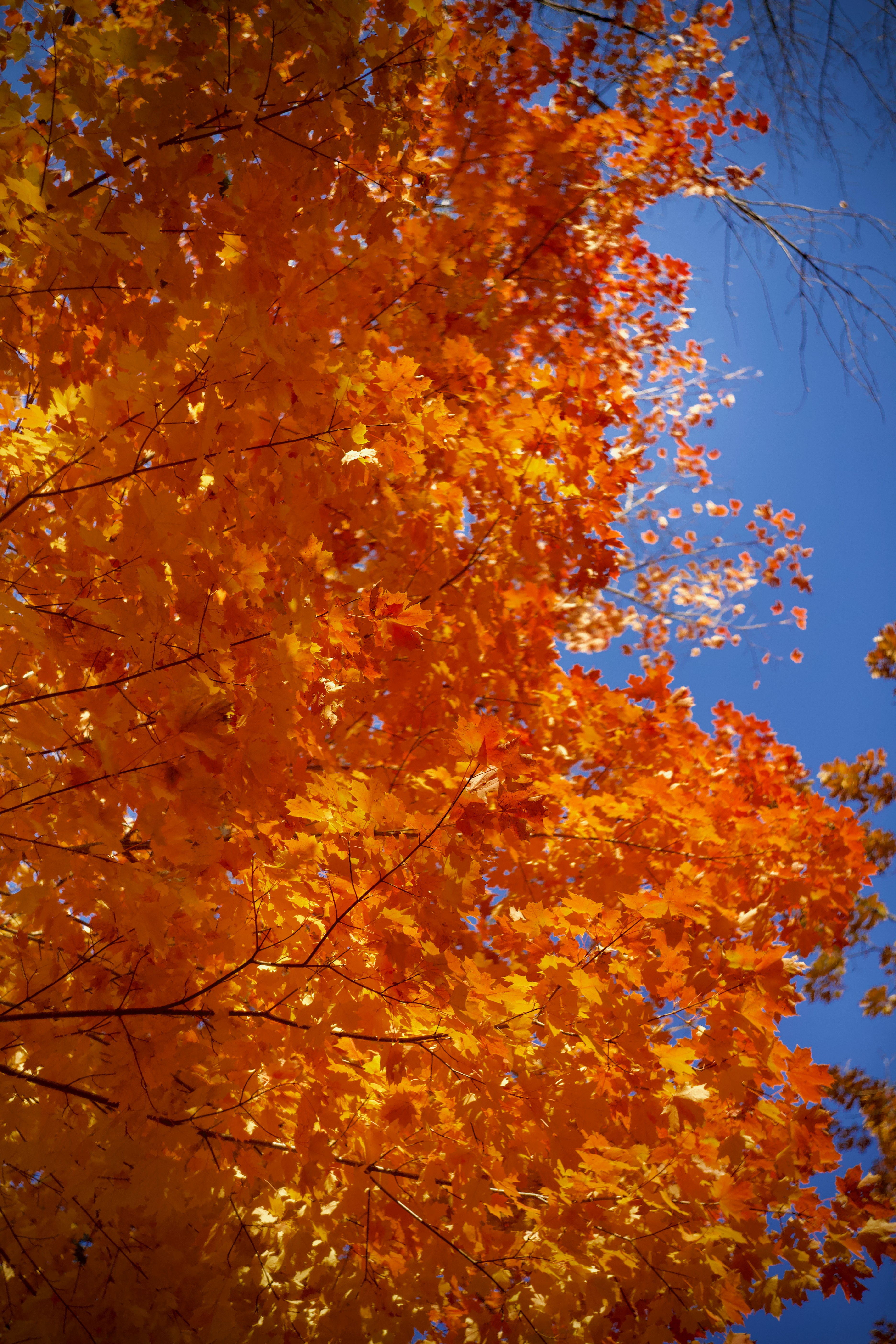 Photo by jpunsplash99