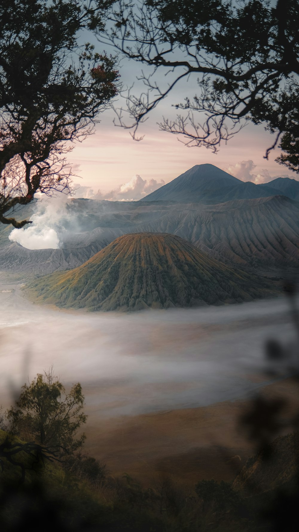 a foggy valley with trees and mountains in the background