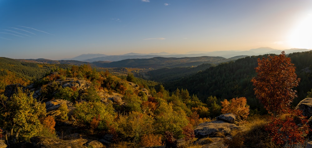 a landscape with trees and hills