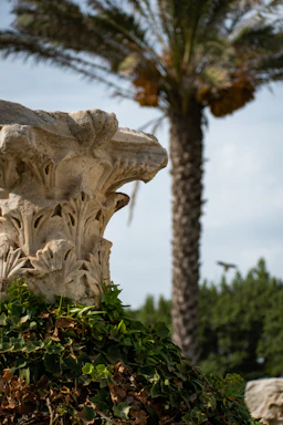 Close-up of elegant concrete decorative column in a garden setting.