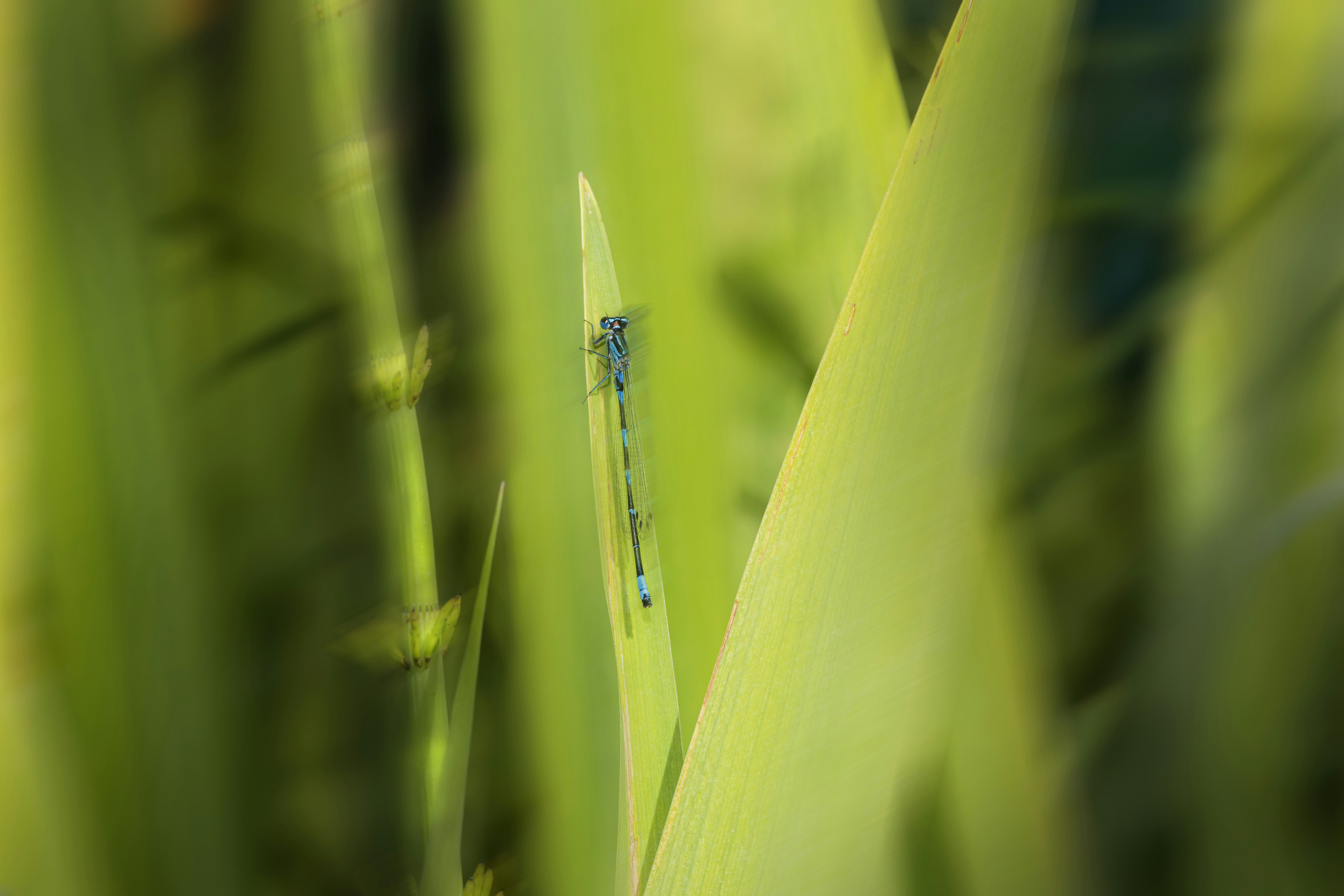 Photo by erik_karits