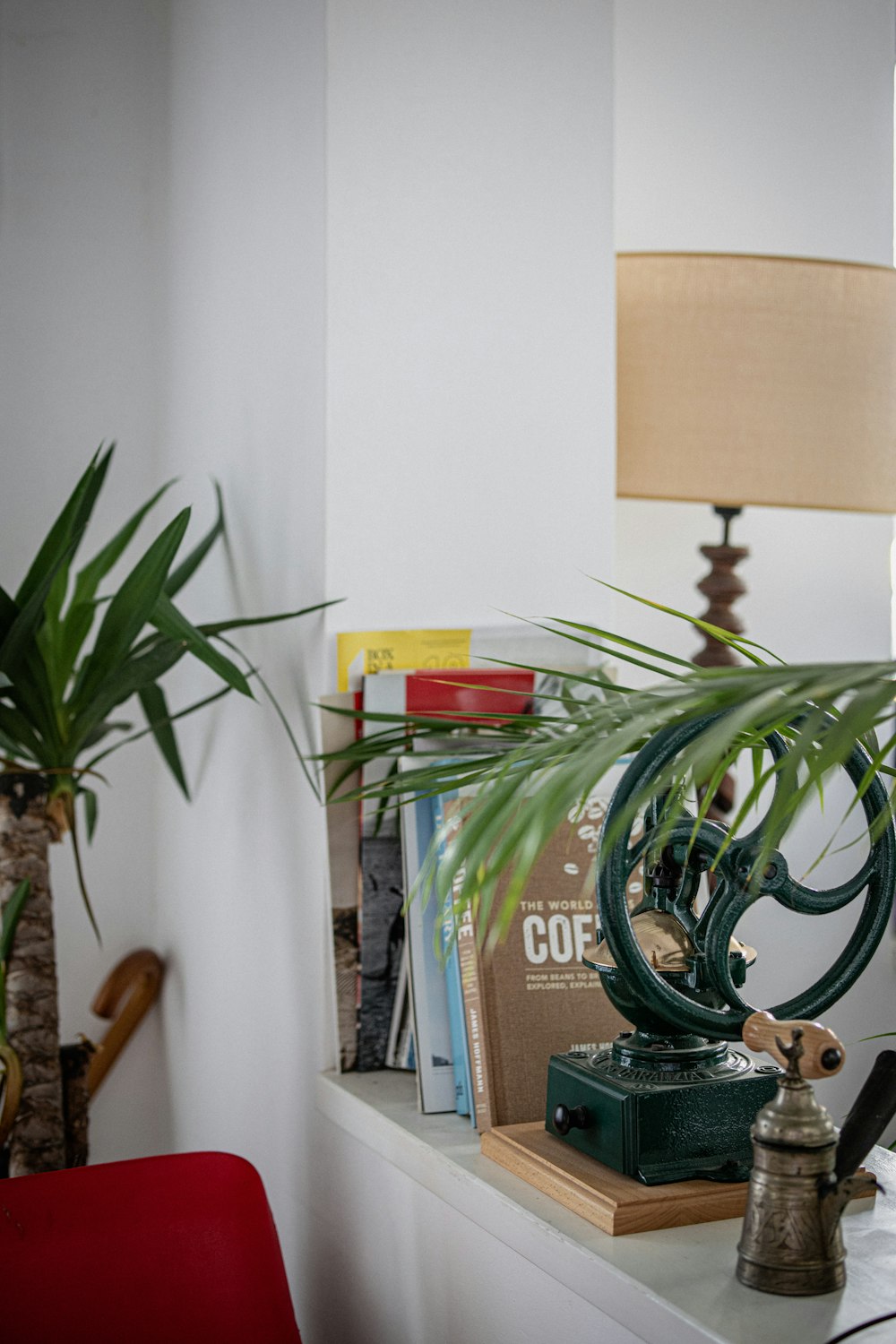 a lamp and a plant on a table