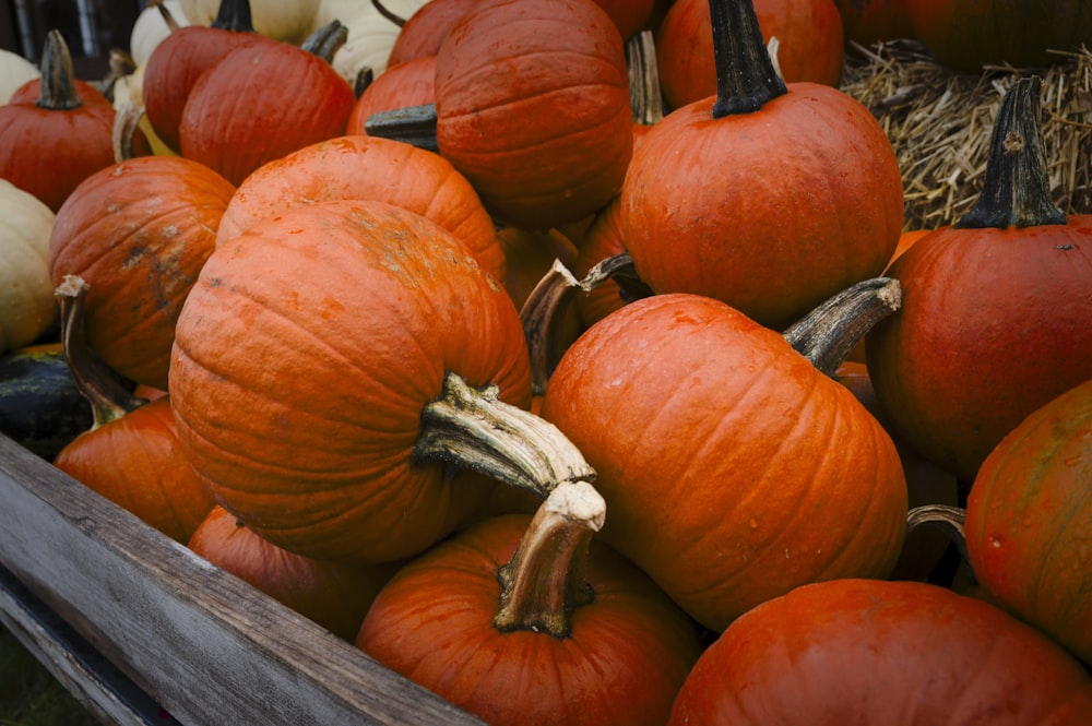 a group of pumpkins