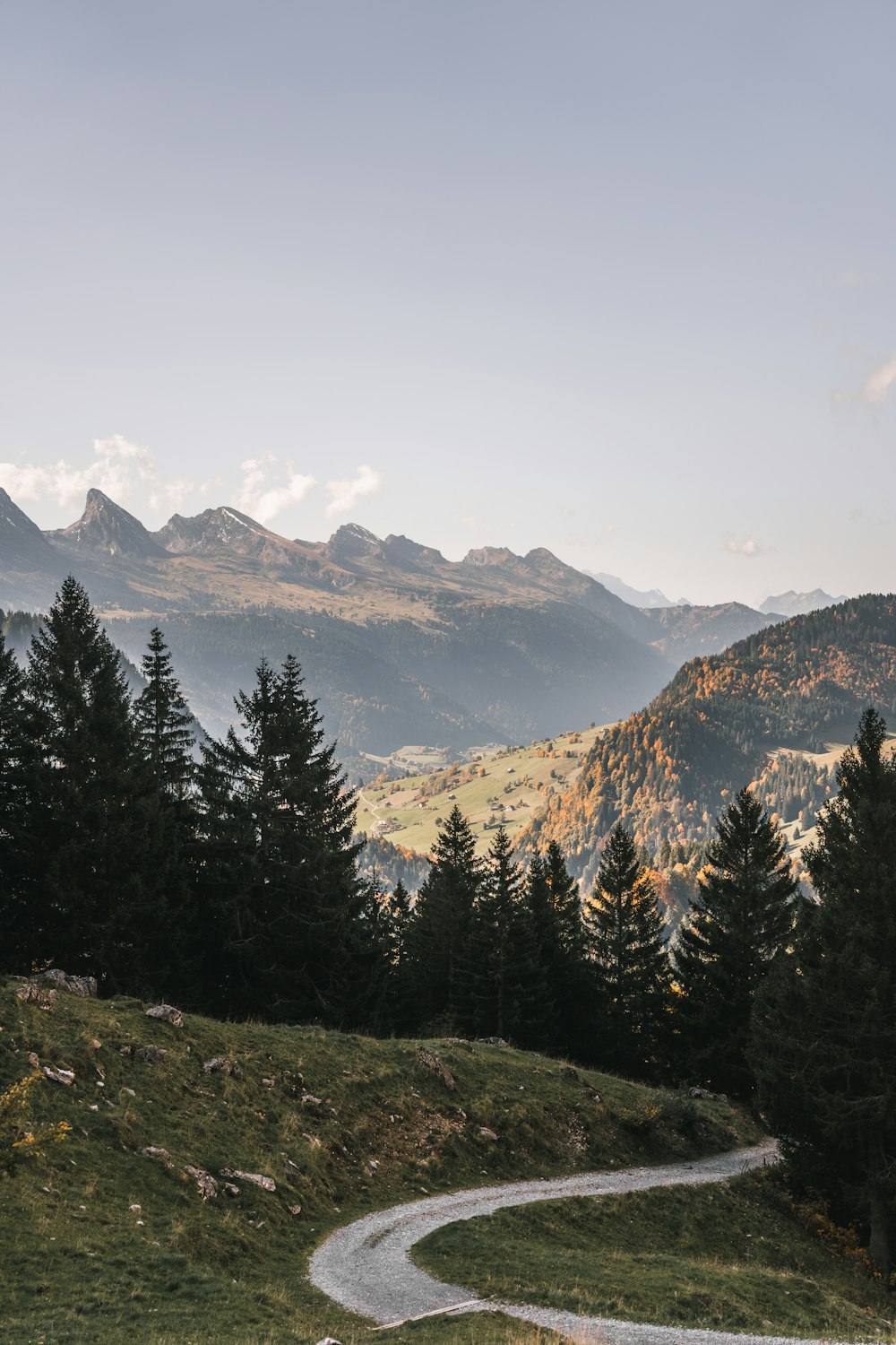 a landscape with trees and mountains in the back