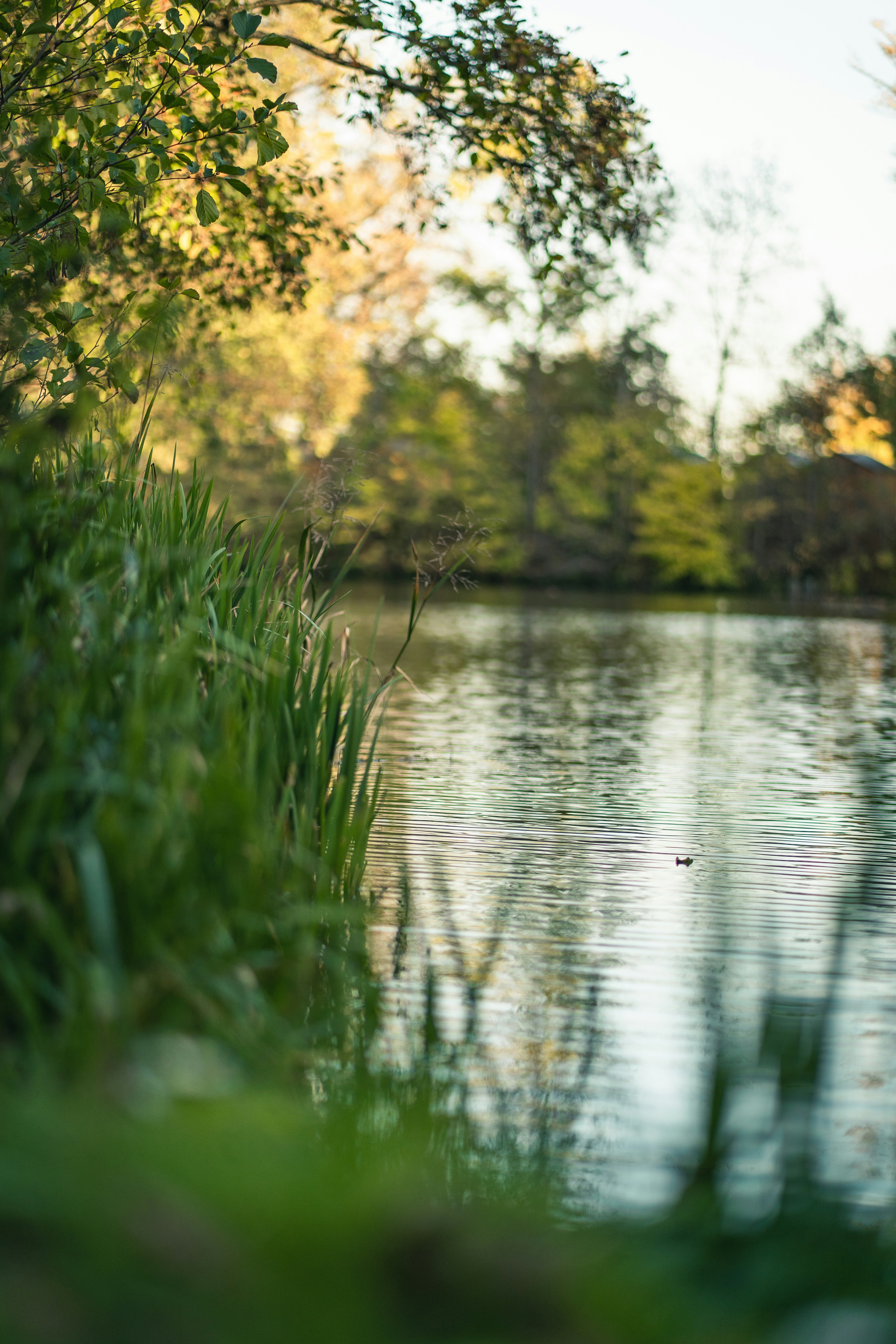 Photo by dominik_kempf