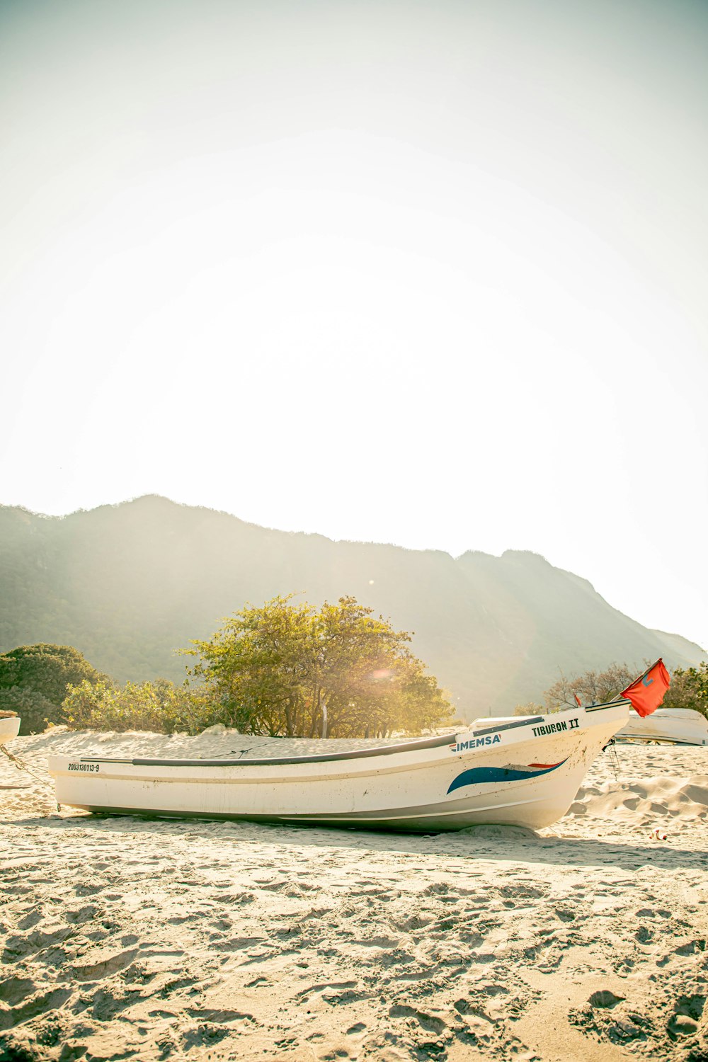 a boat on the beach