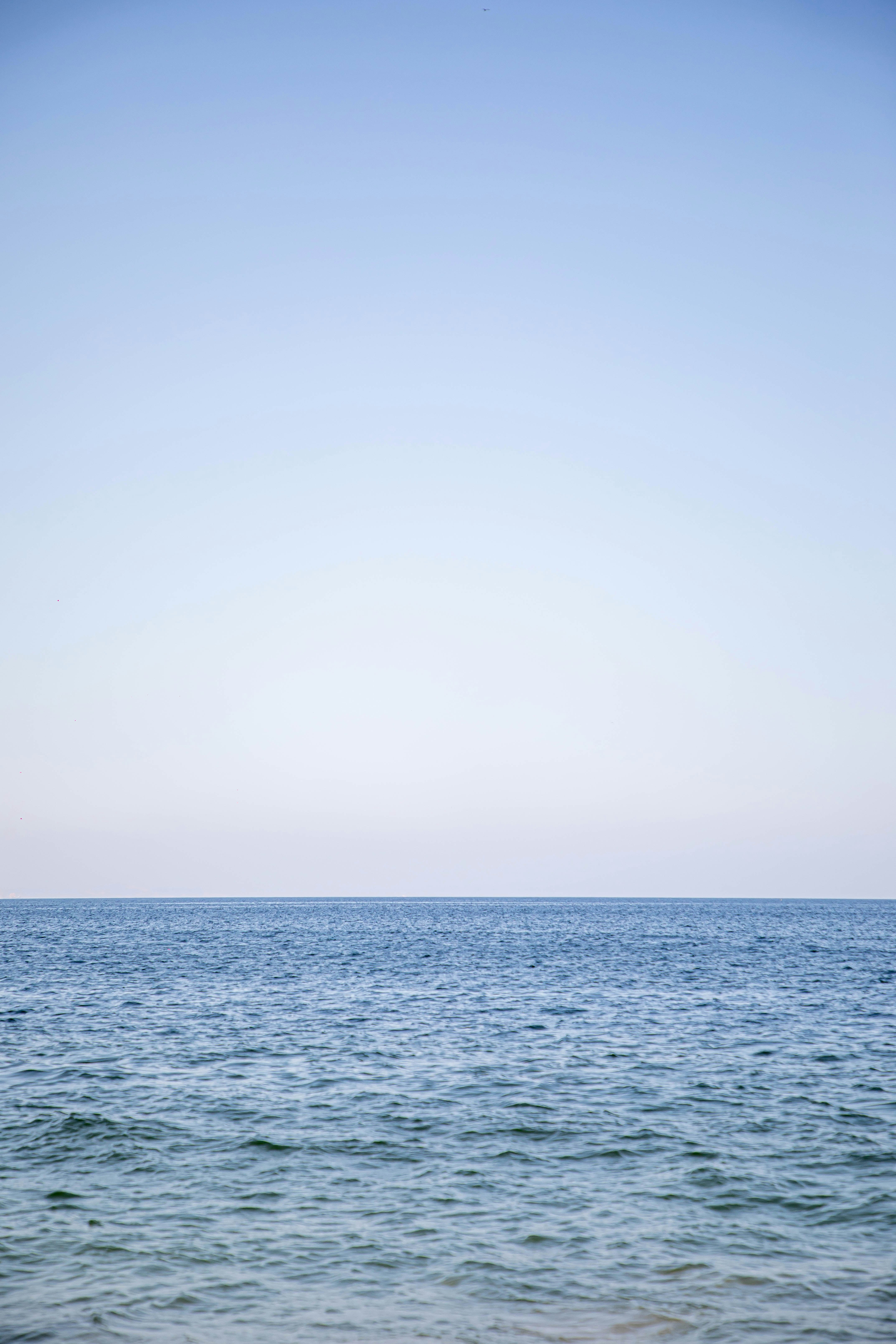 Photo by fer_herrera