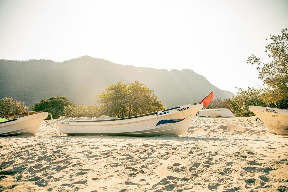 a group of boats on a beach