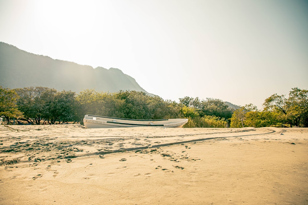 a boat on a beach