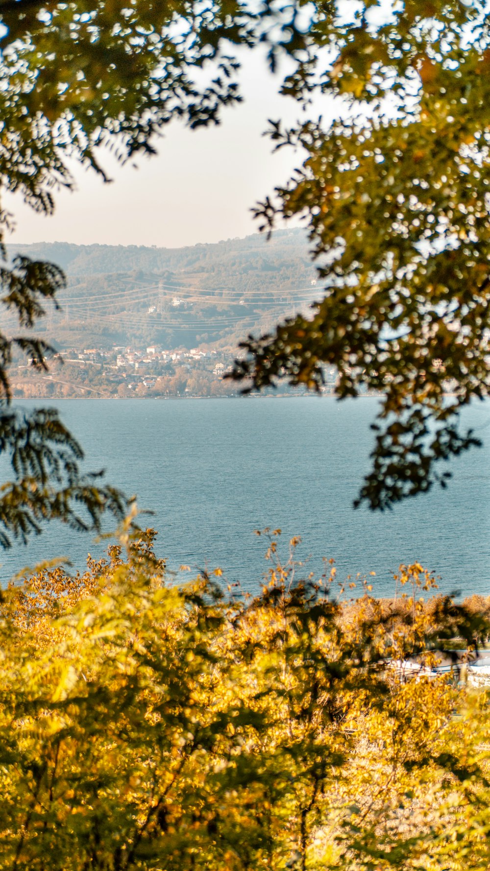 a body of water with trees around it