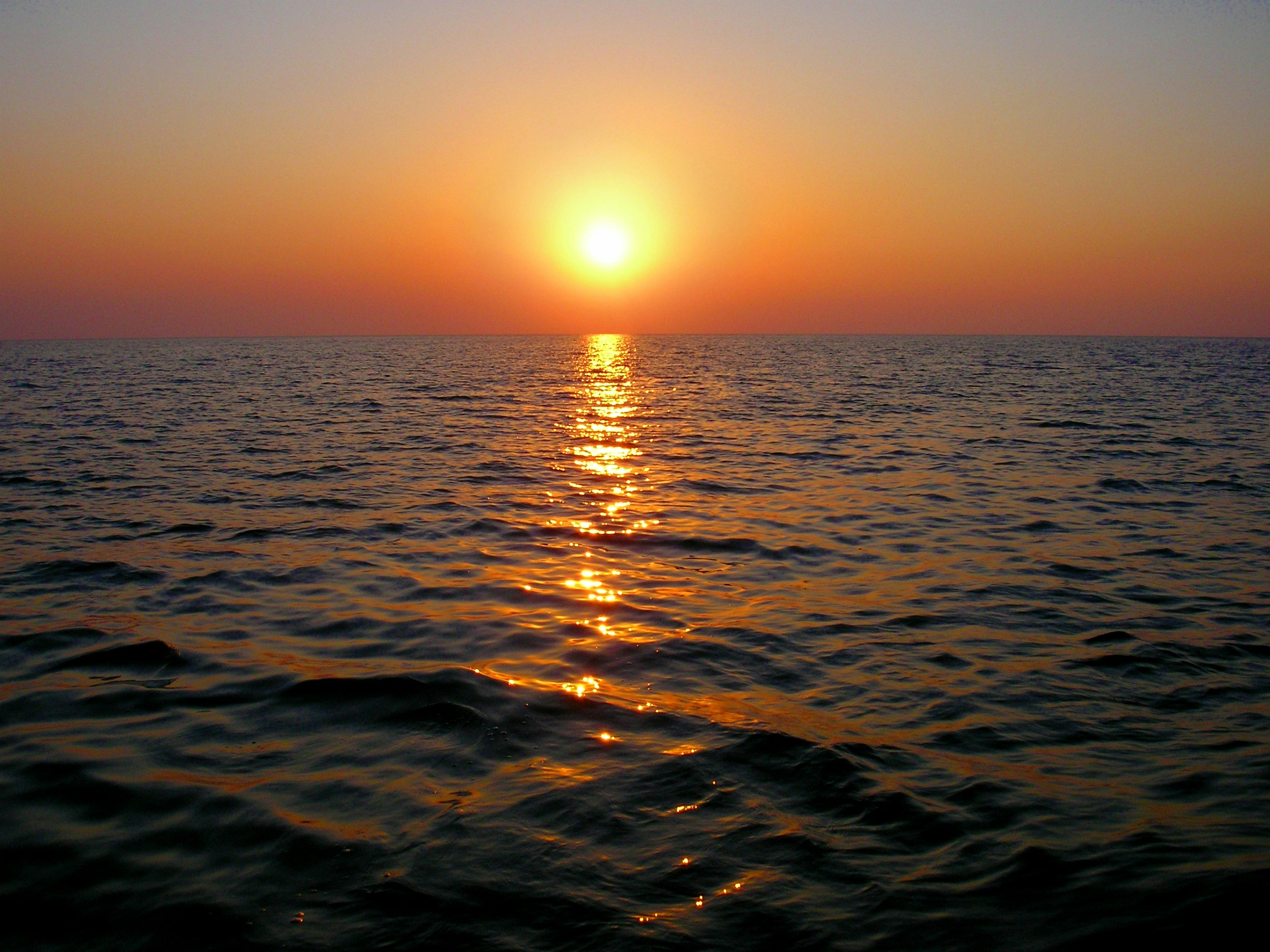 Photo by bjamlitkris