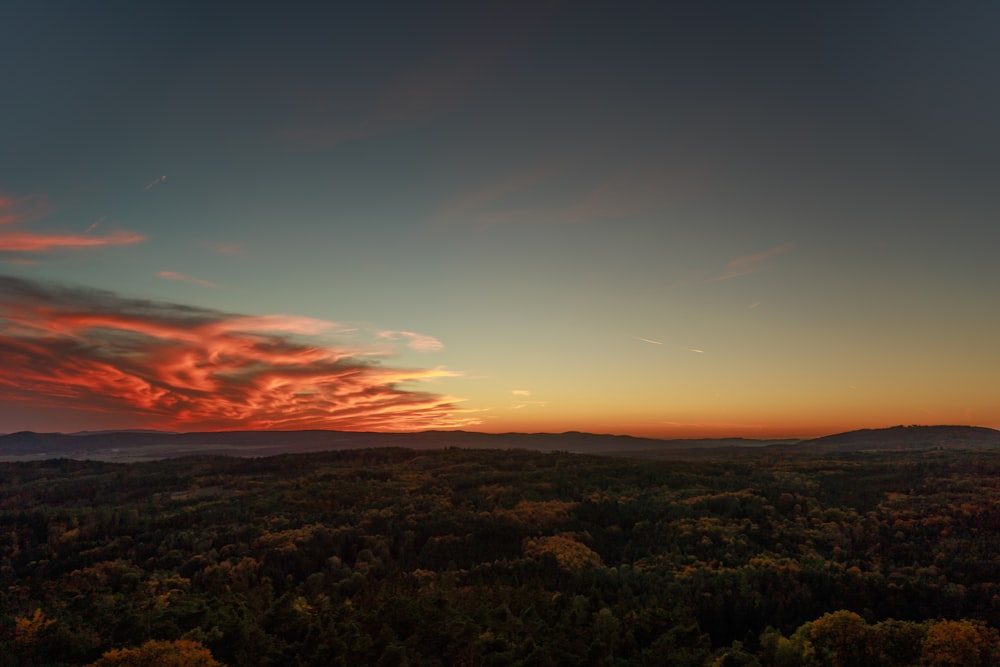 a landscape with trees and a sunset