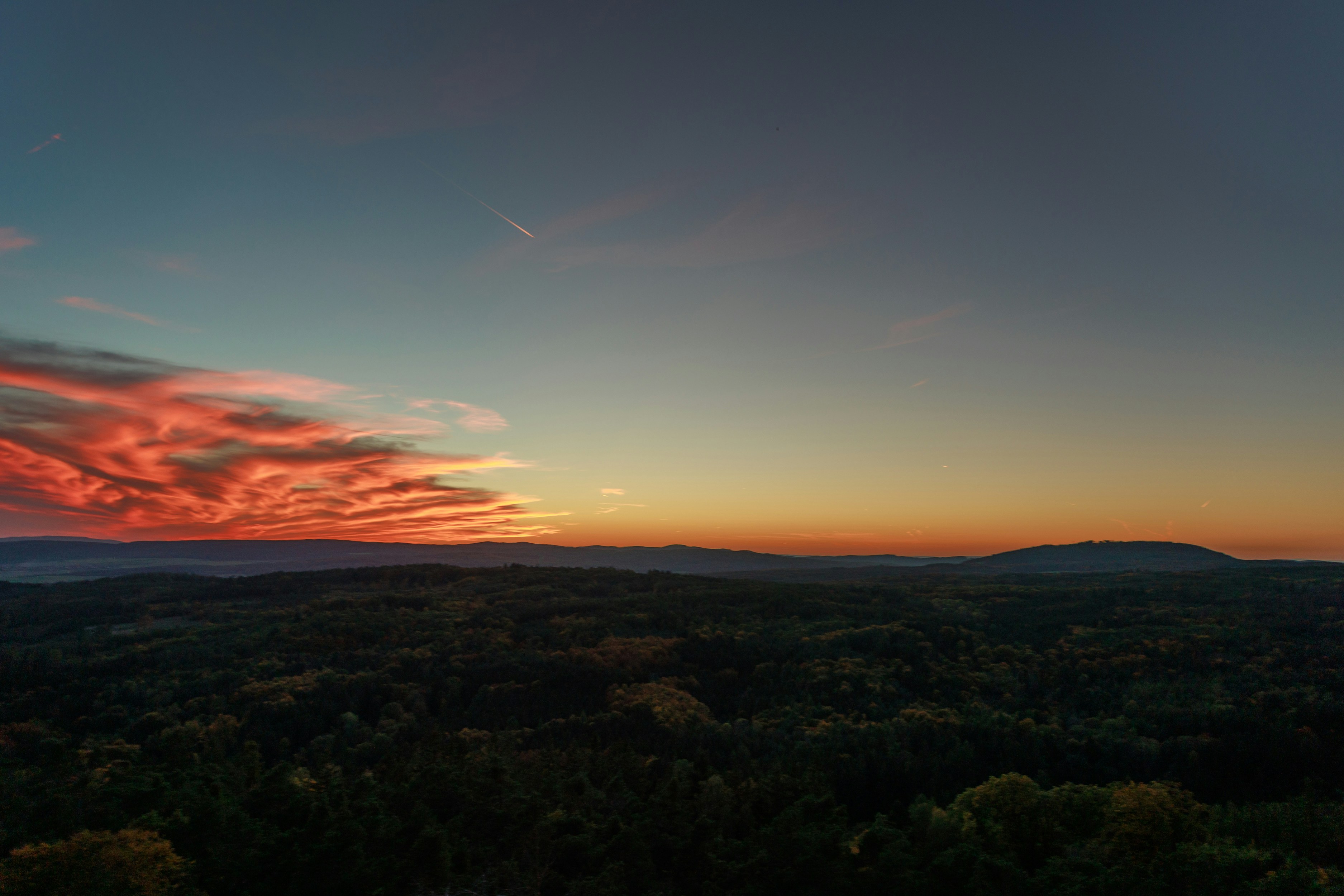 a landscape with trees and mountains in the background