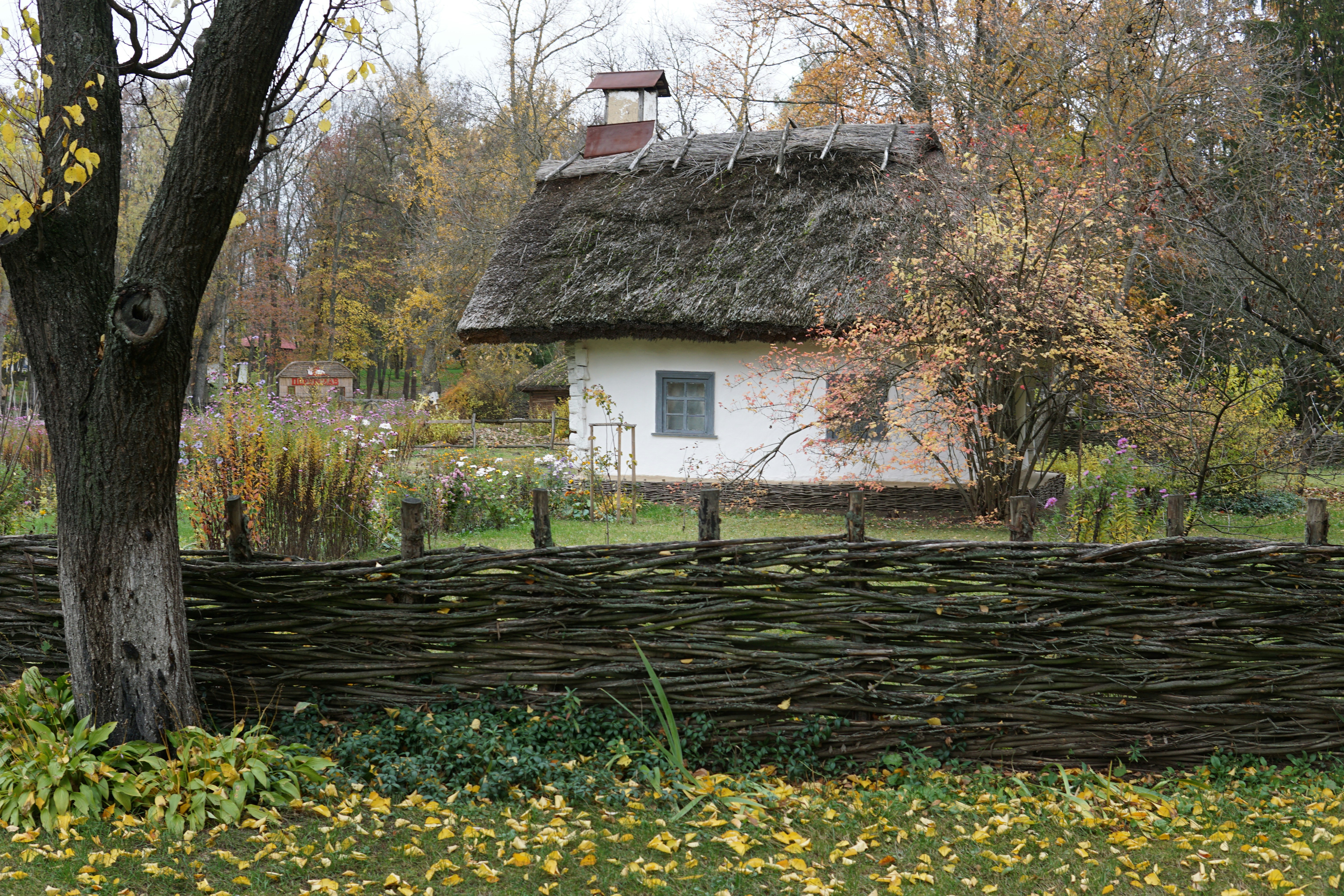 Photo by dmytronazarko