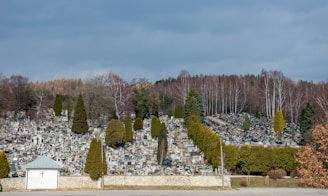a landscape with trees and a building