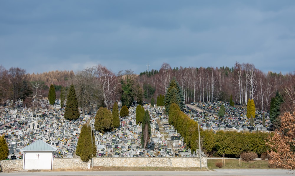 Eine Landschaft mit Bäumen und einem Gebäude