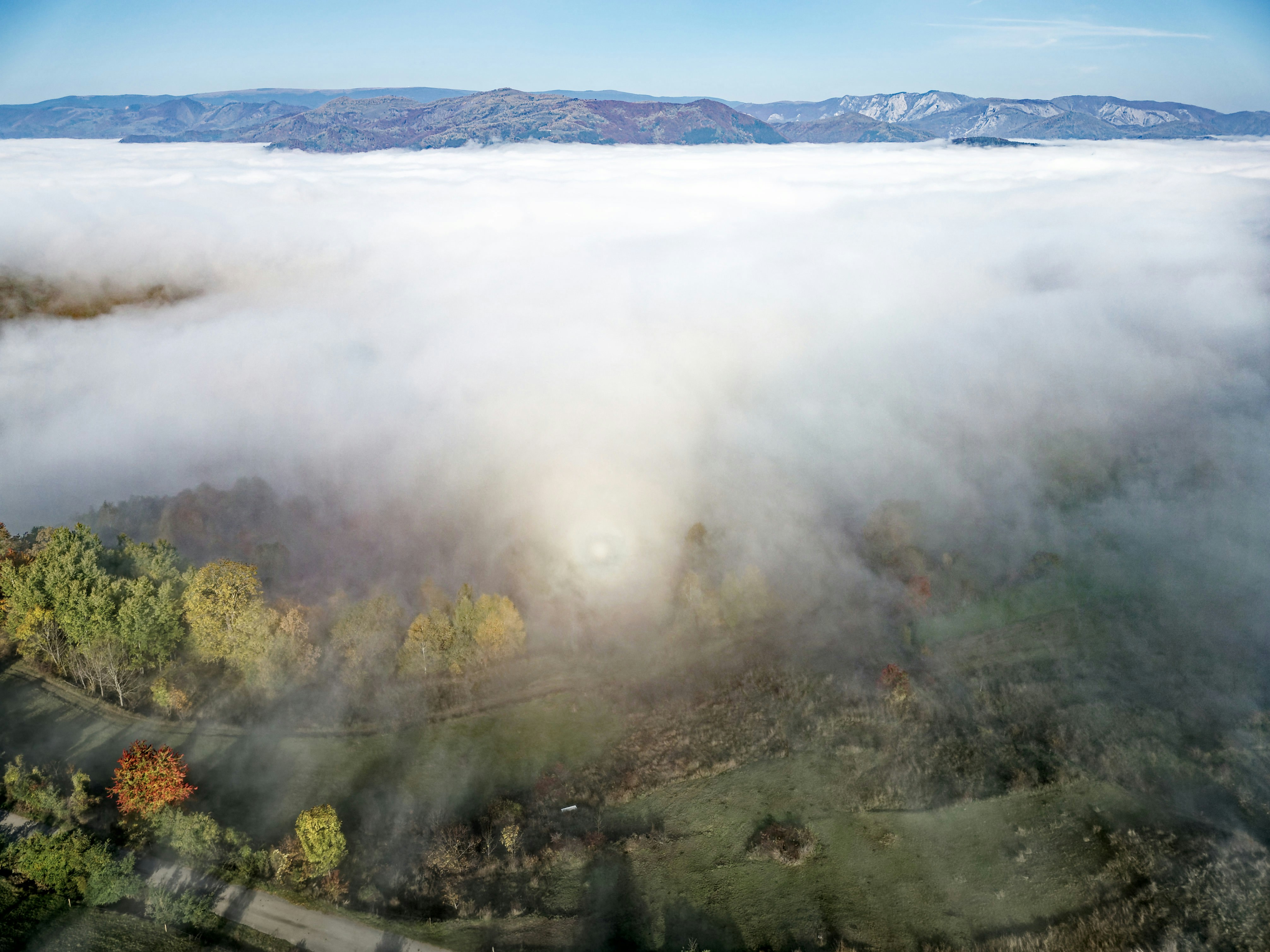 Ein nebliges Tal mit Bäumen und Bergen im Hintergrund