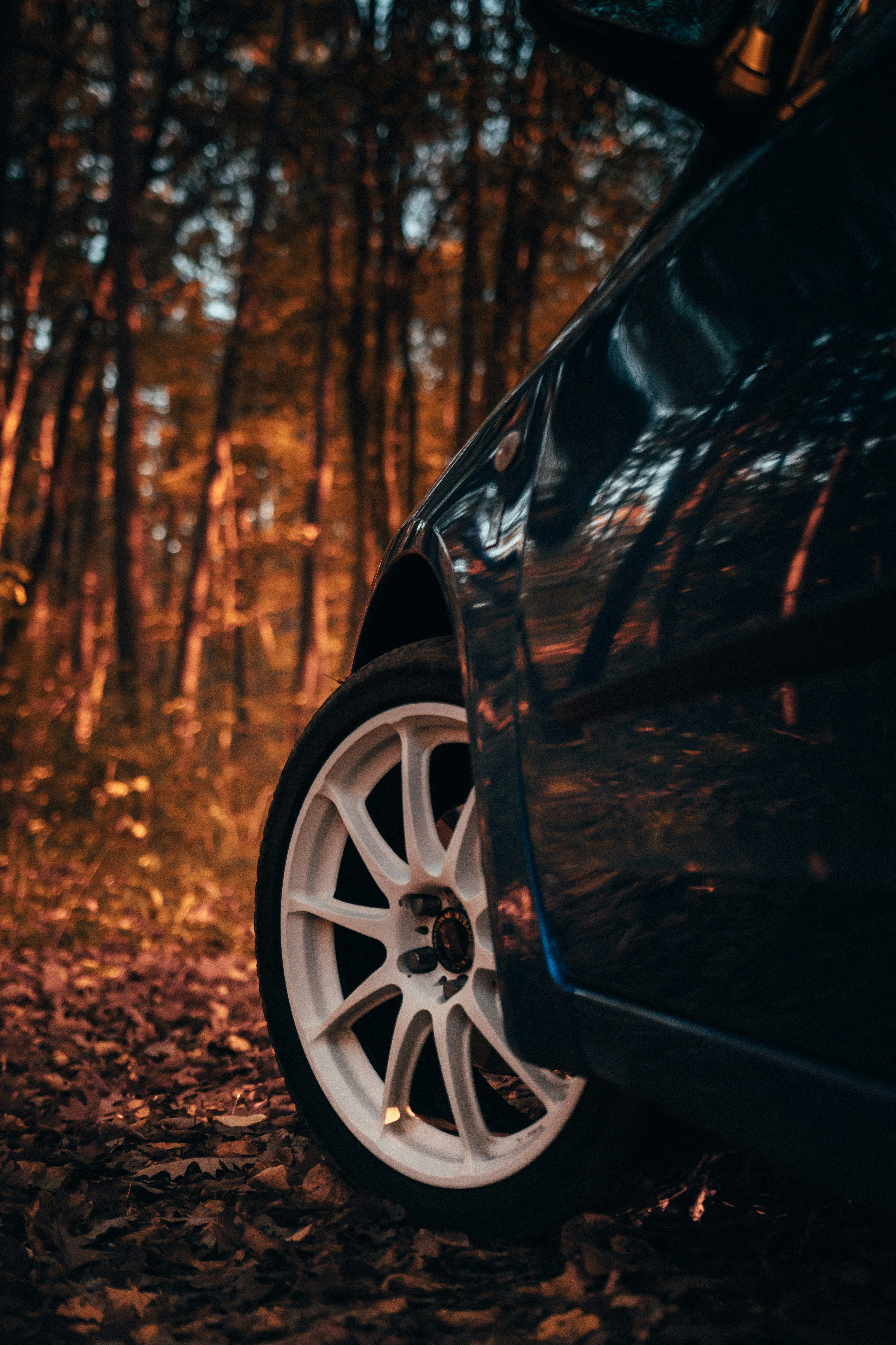 Photo by solbrigkevin