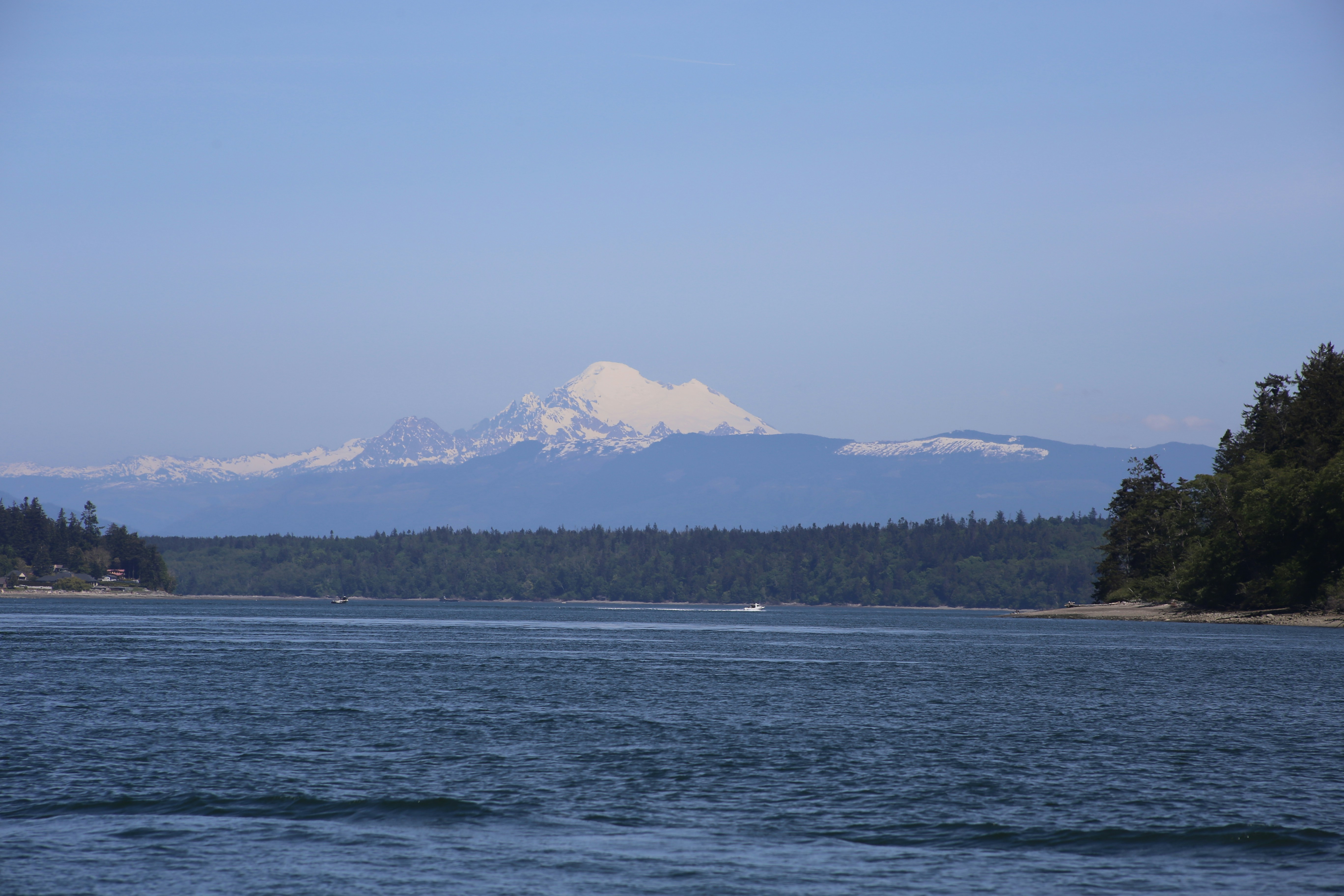 Photo by sub_standard_alien